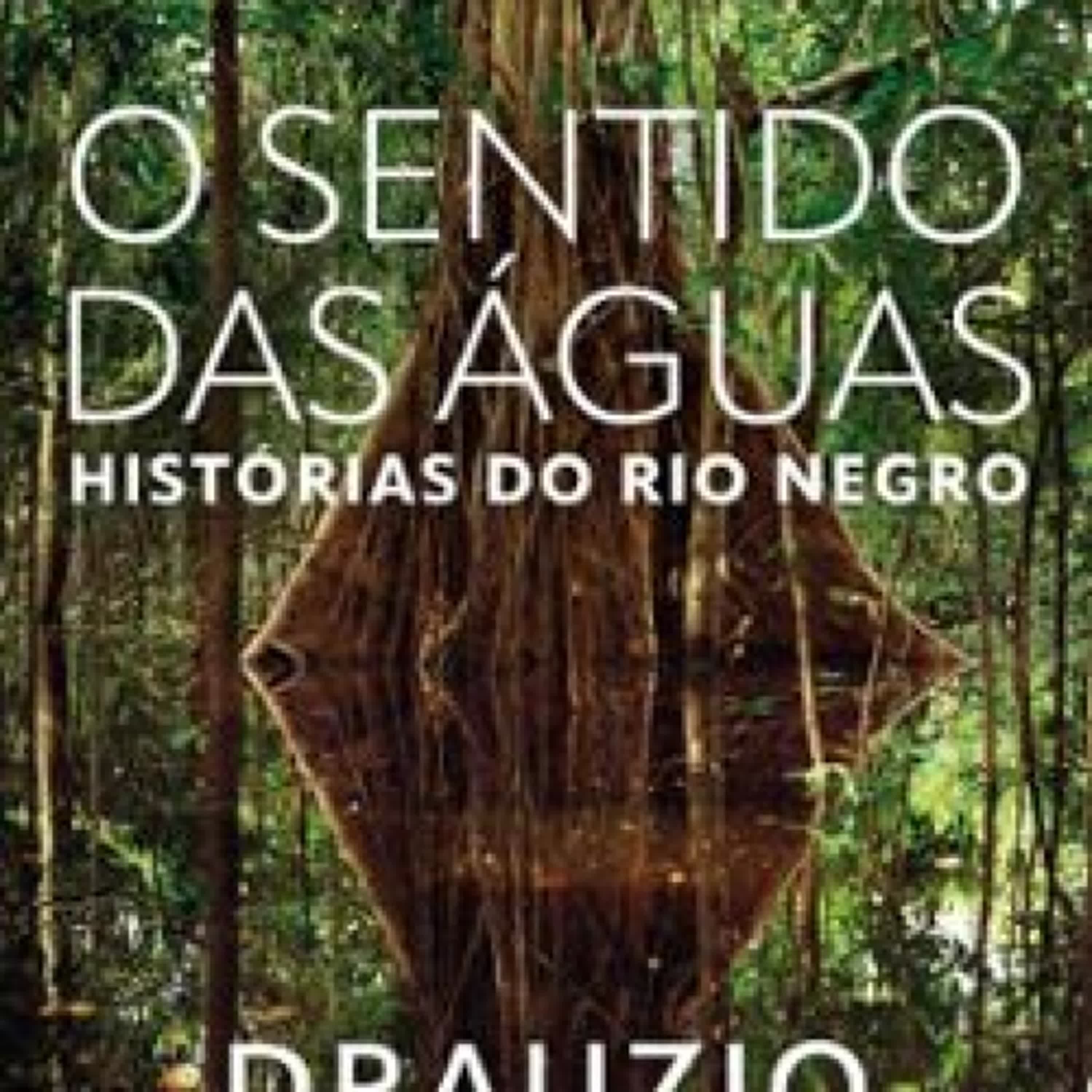 Descargar ebook O SENTIDO DAS ÁGUAS | Descarga Libros Gratis (PDF - EPUB)
