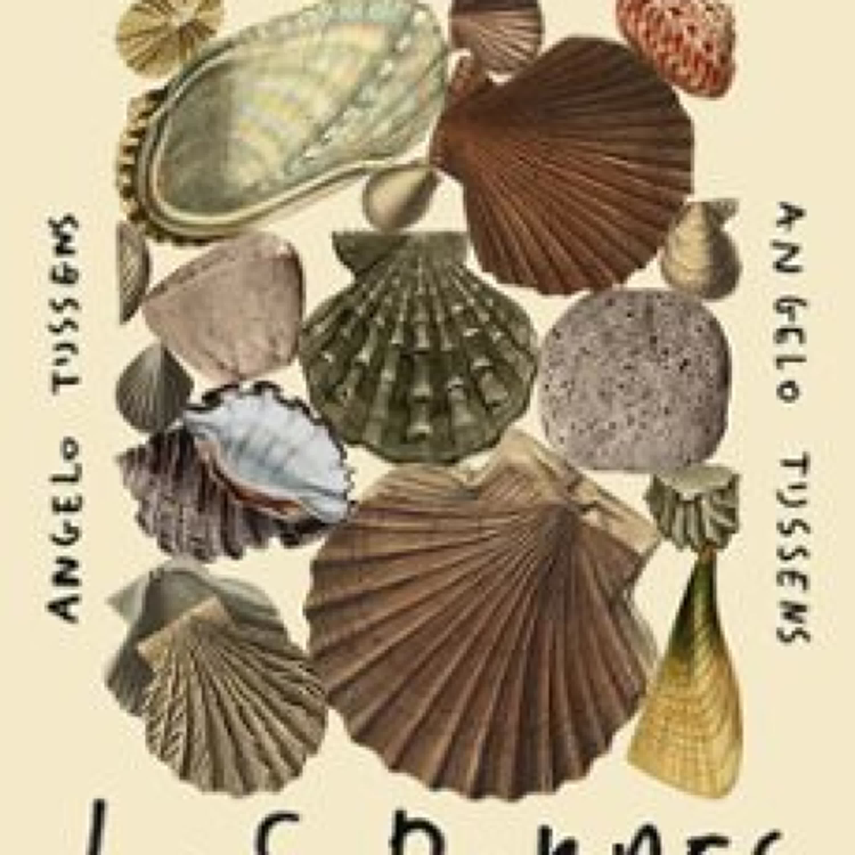 [Pdf/ePub/Mobi] LOS BORDES - ANGELO TIJSSENS descargar ebook gratis