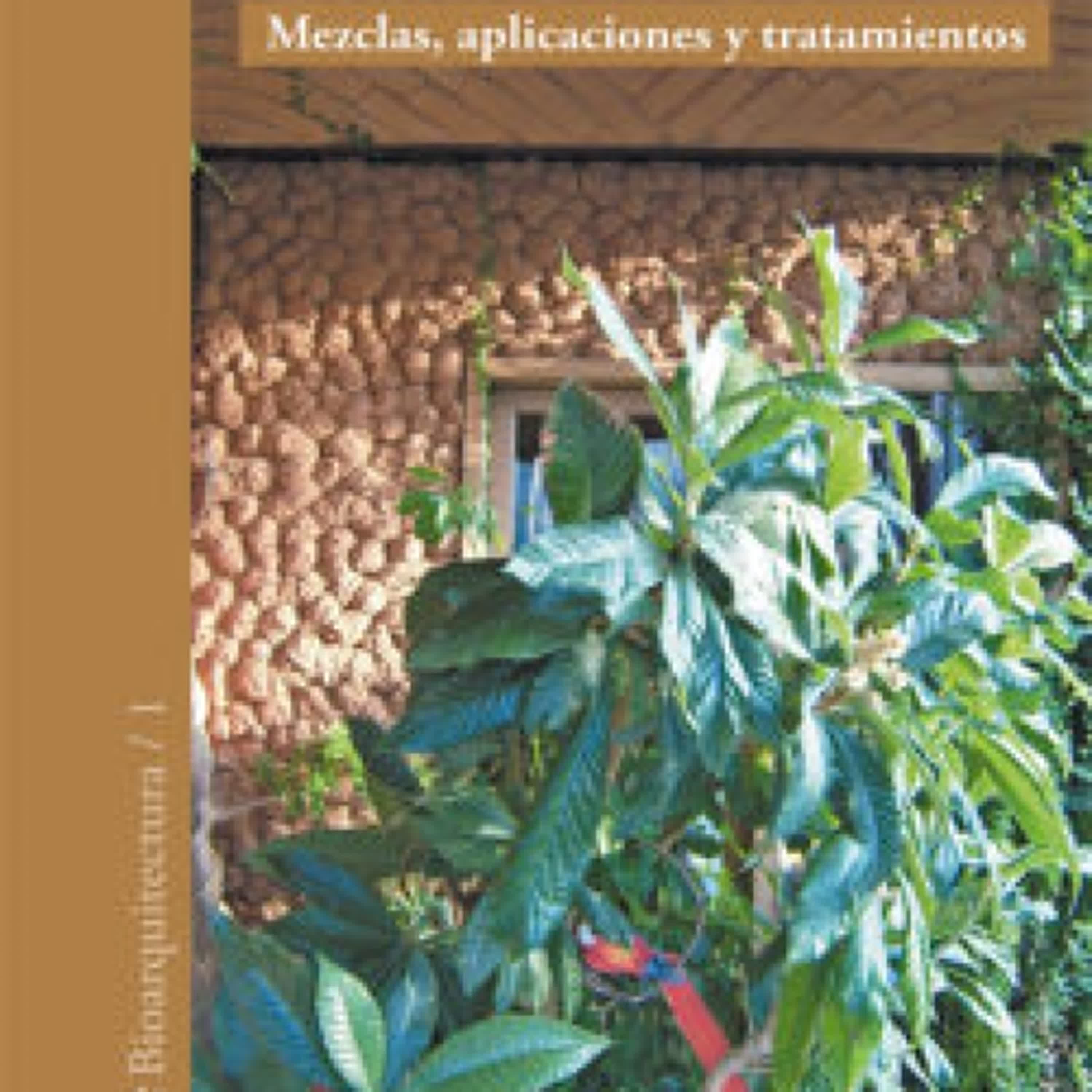 REVOQUES DE BARRO: MEZCLAS, APLICACIONES Y TRATAMIENTOS leer epub gratis