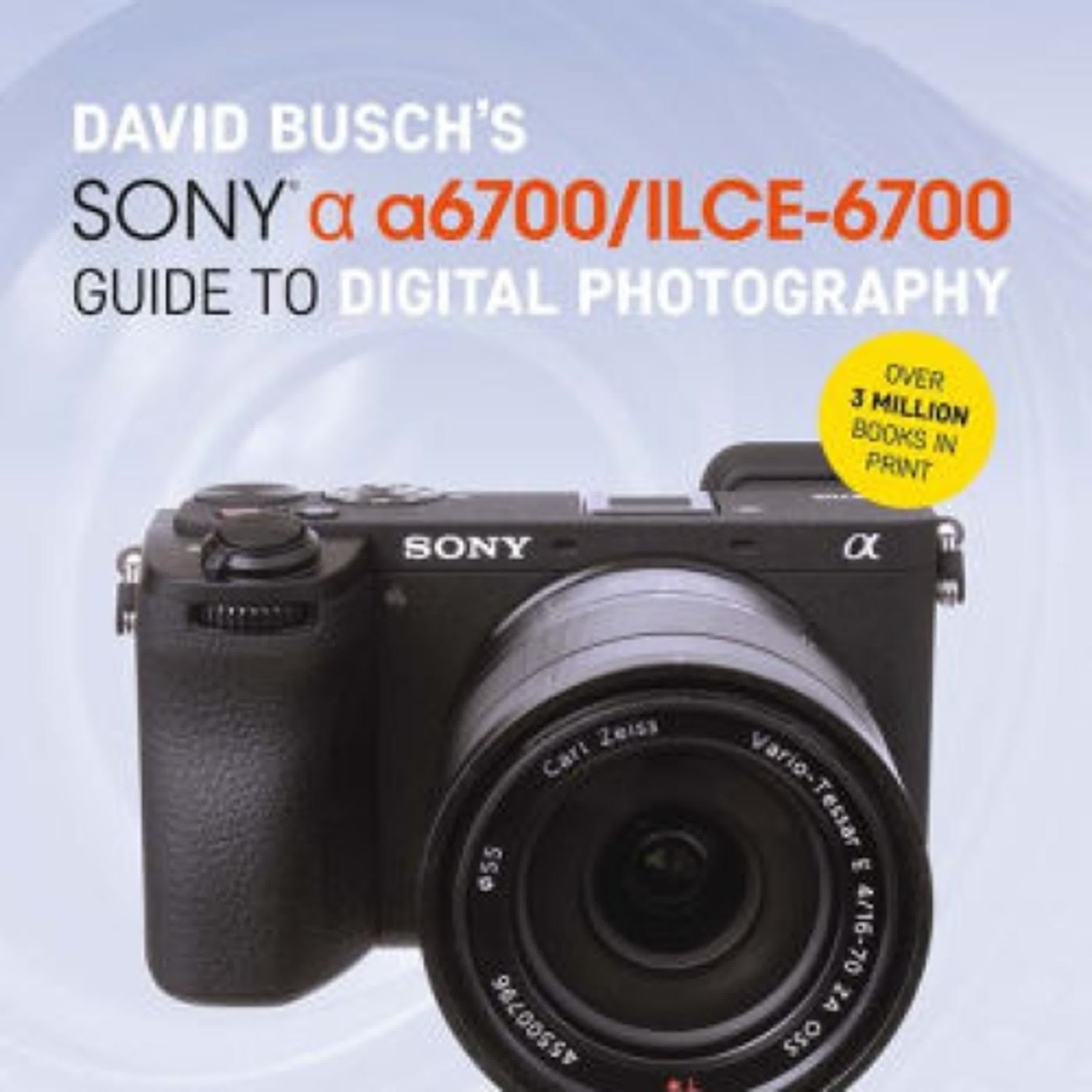 [download pdf] David Busch's Sony Alpha a6700/ILCE-6700 Guide to Digital Photography by David D. Busch