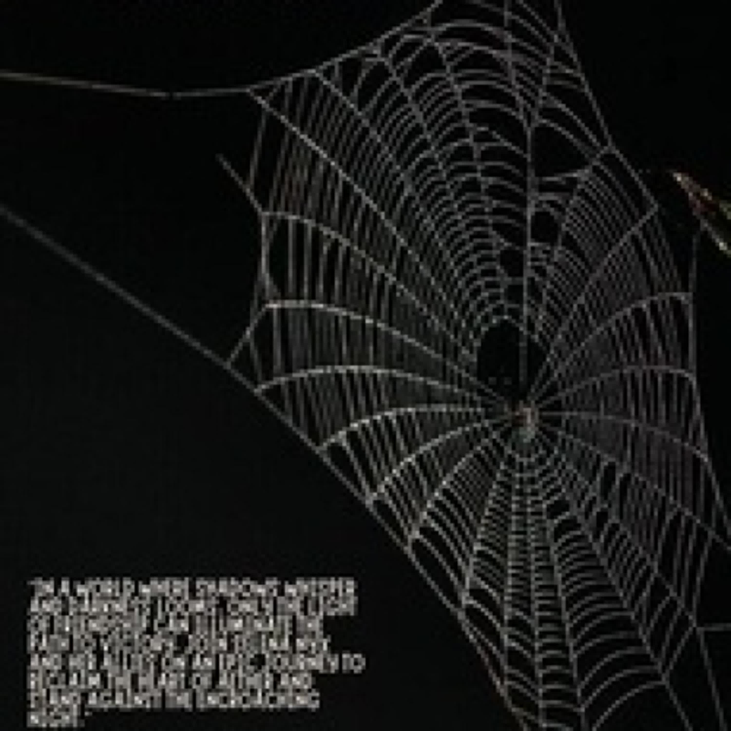 Télécharger Pdf The Heart of Aether - The Heart of Aether, #1