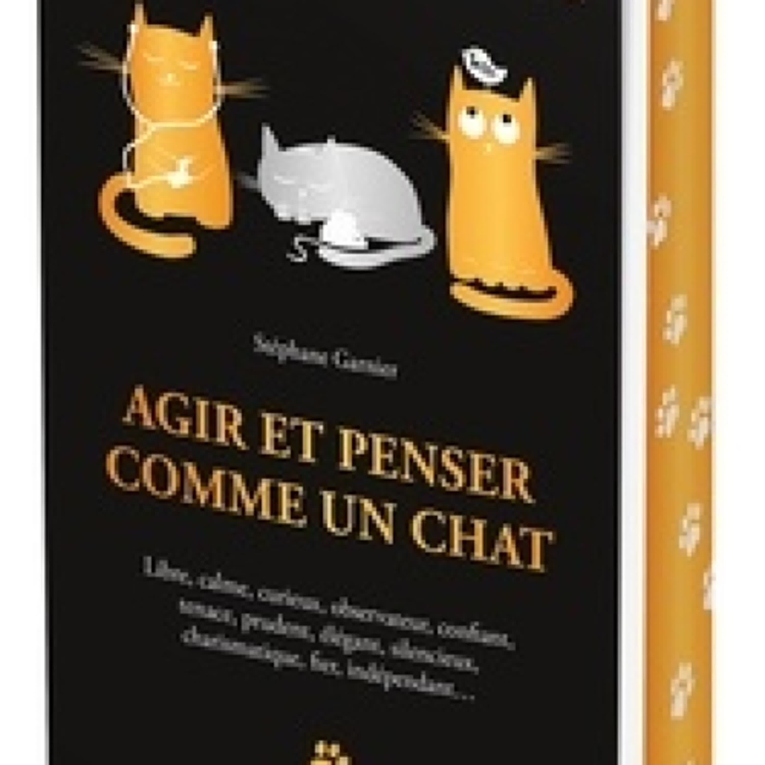 [PDF] Agir et penser comme un chat - Libre, calme, curieux, observateur, confiant, tenace, prudent, élégant, silencieux, charismatique, fier, indépendant... téléchargement