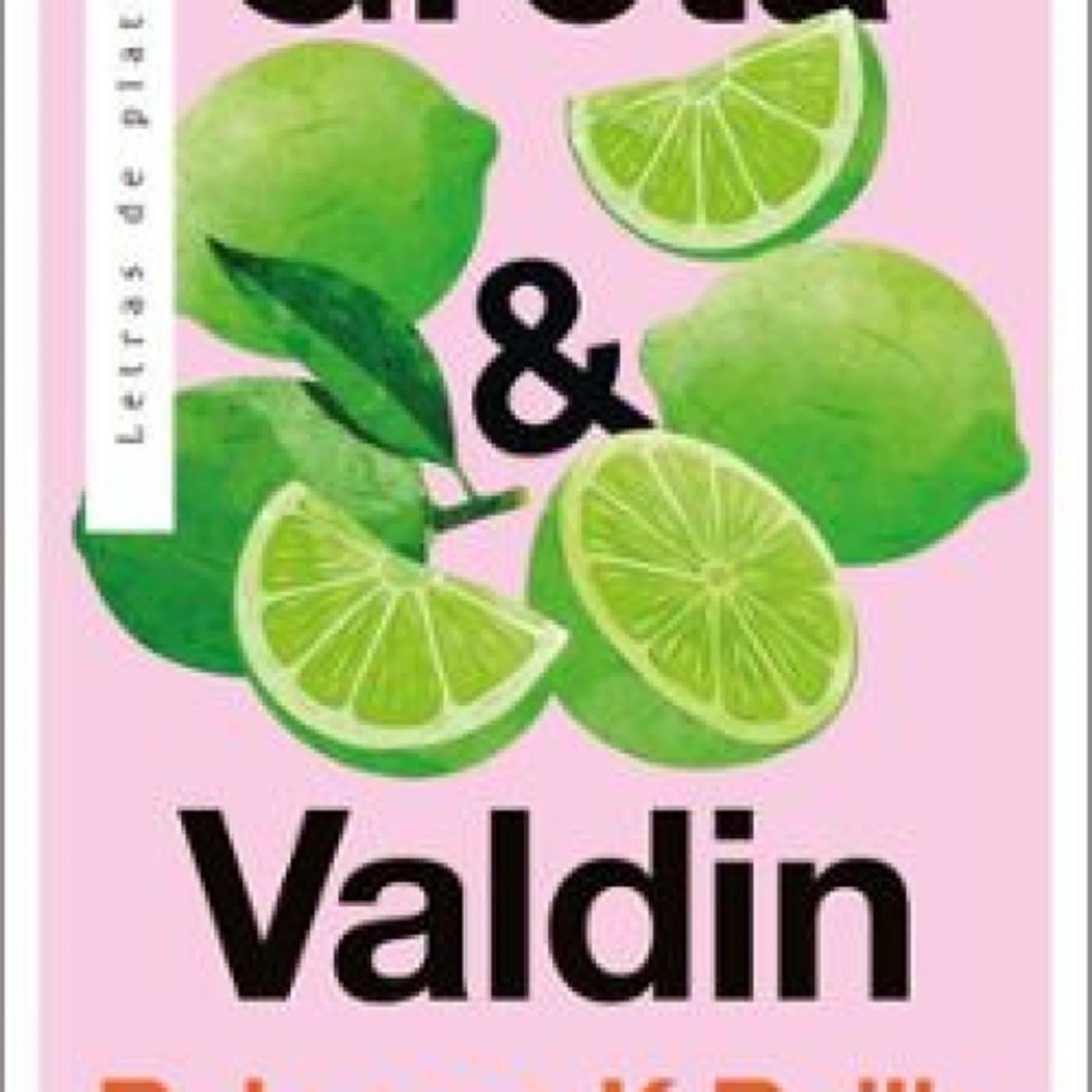 GRETA & VALDIN leer el libro