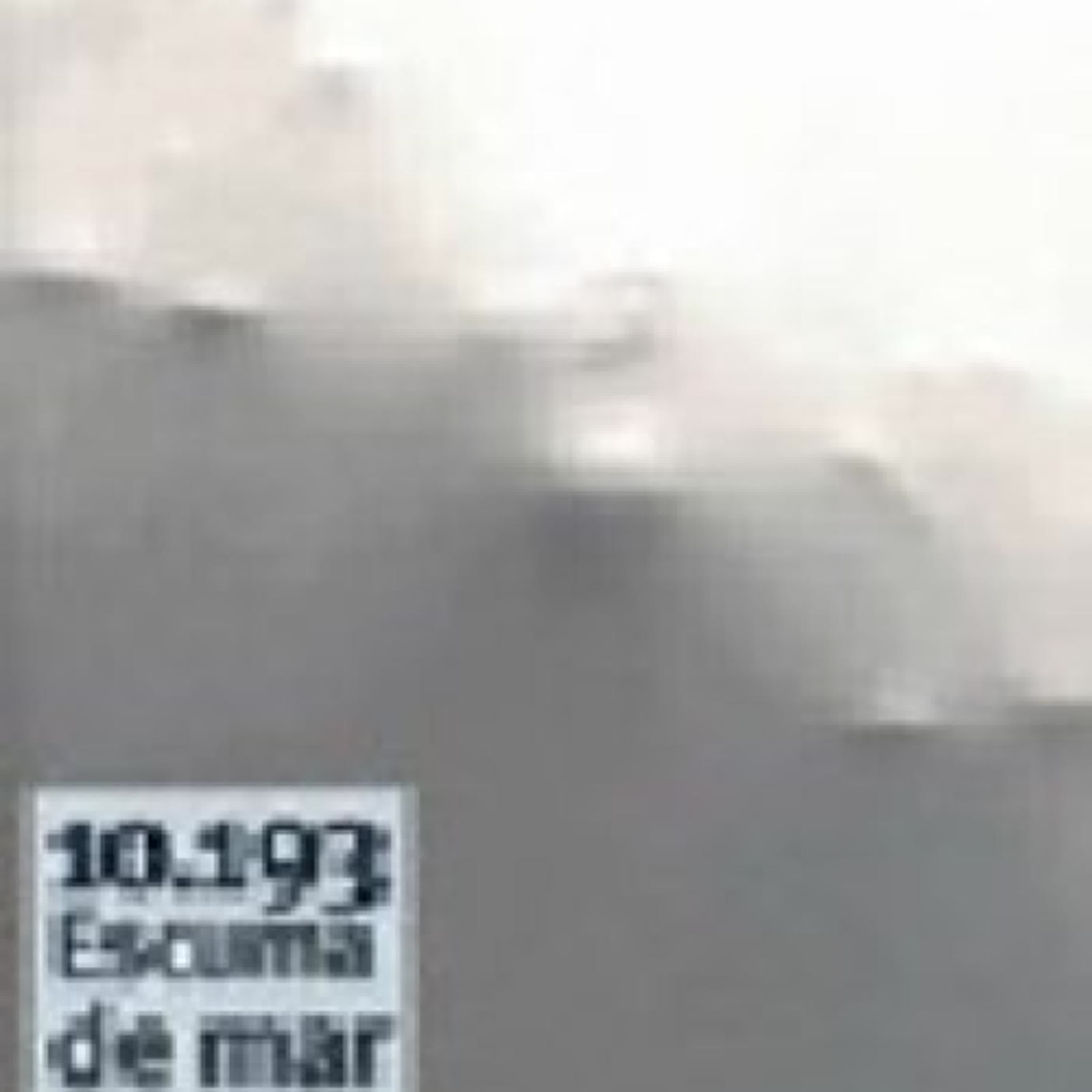 [PDF] 10.193 ESCUMA DE MAR descargar gratis