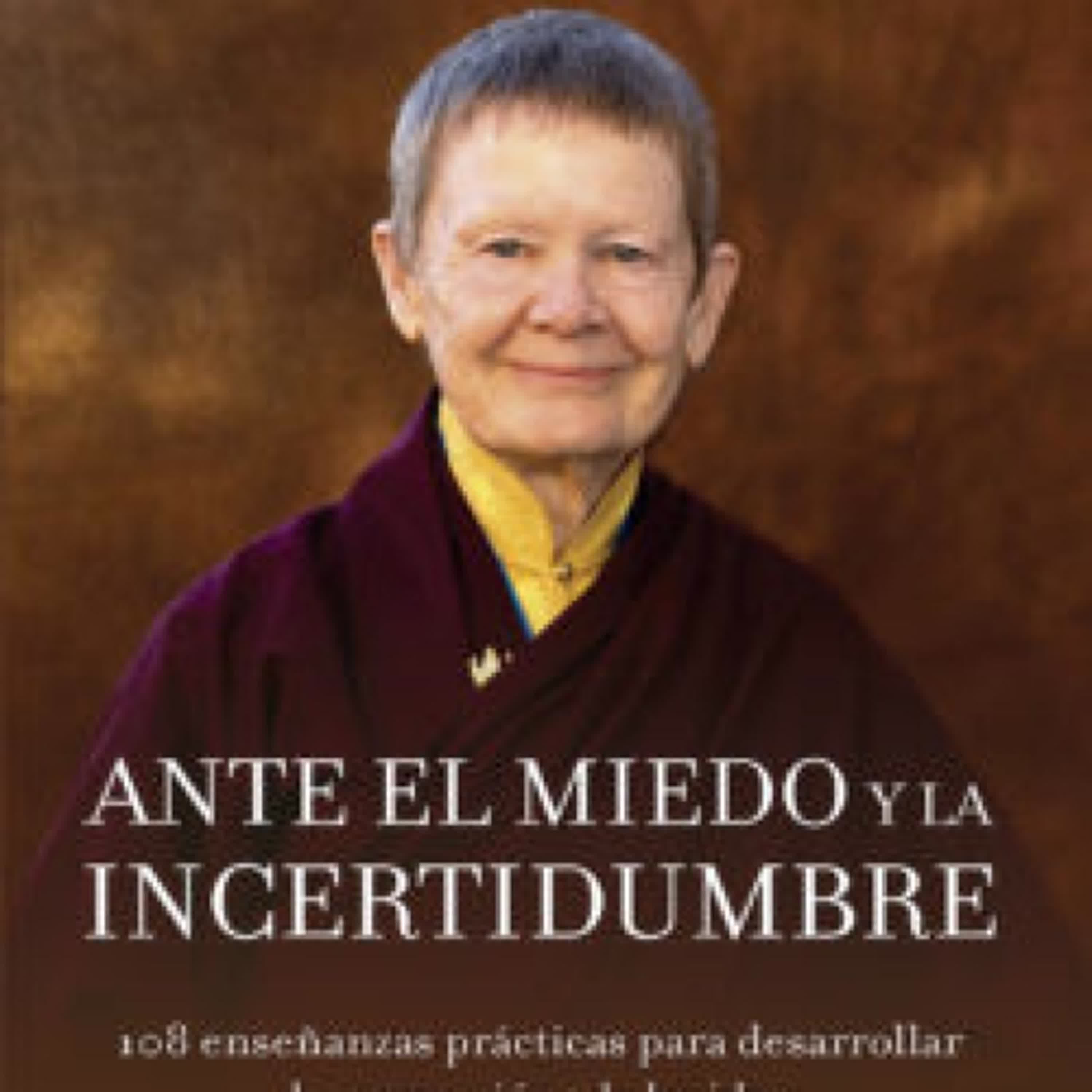 Descargar ANTE EL MIEDO Y LA INCERTIDUMBRE: 108 ENSEÑANZAS PRACTICAS PARA D ESARROLLAR LA COMPASION Y LA LUCIDEZ PEMA CHÖDRON Gratis - EPUB, PDF y MOBI