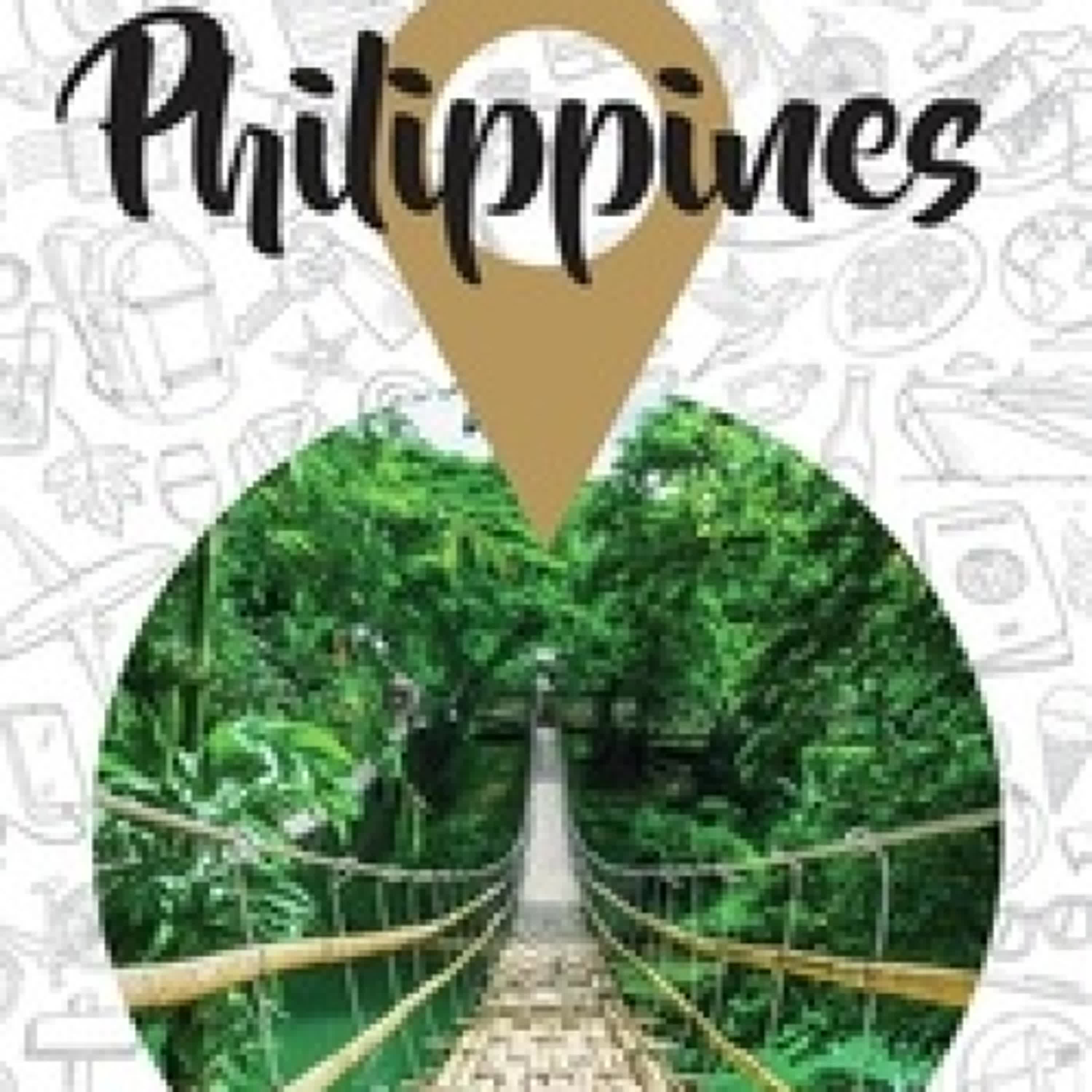 Télécharger Pdf Petit Futé Philippines