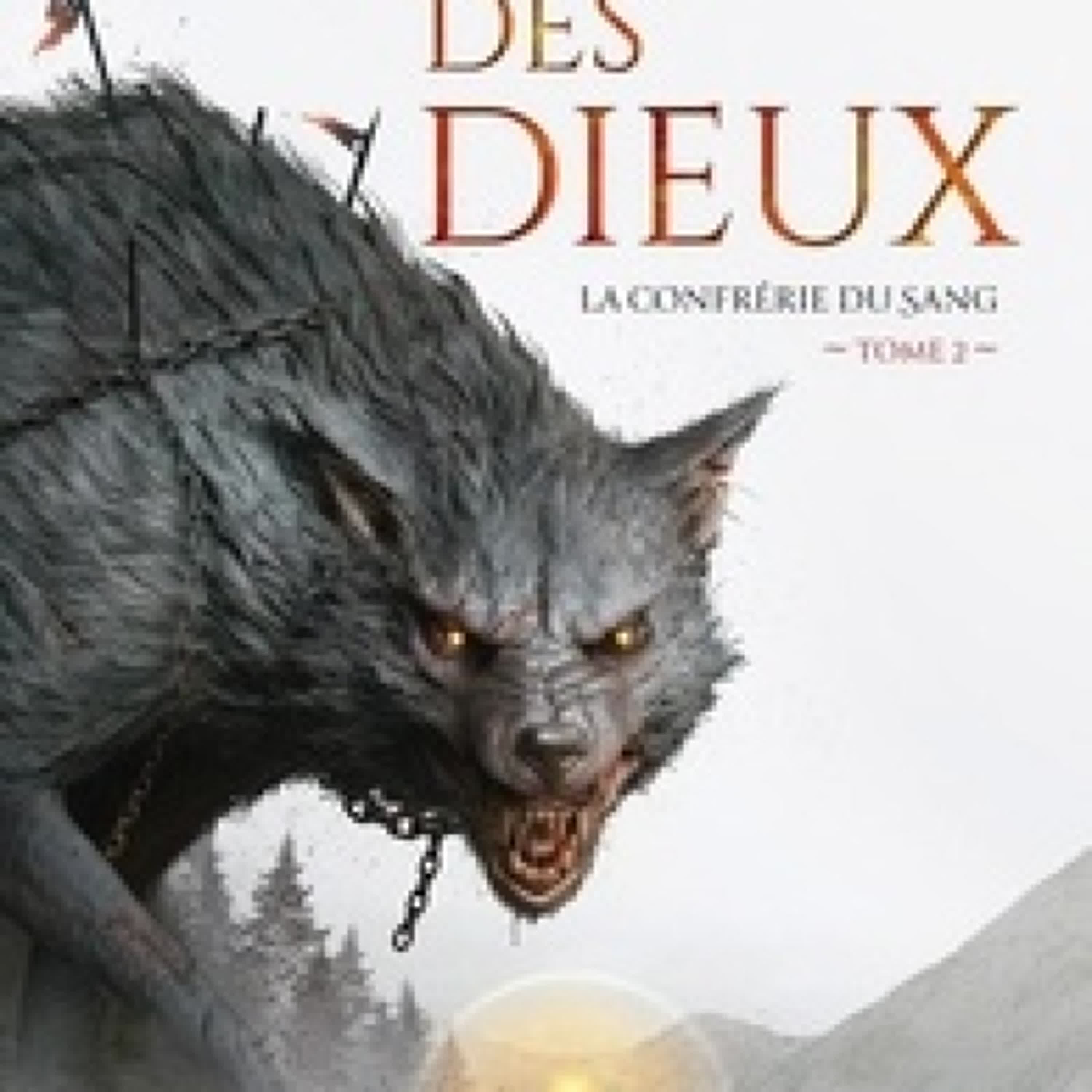 Télécharger PDF La confrérie du sang Tome 2