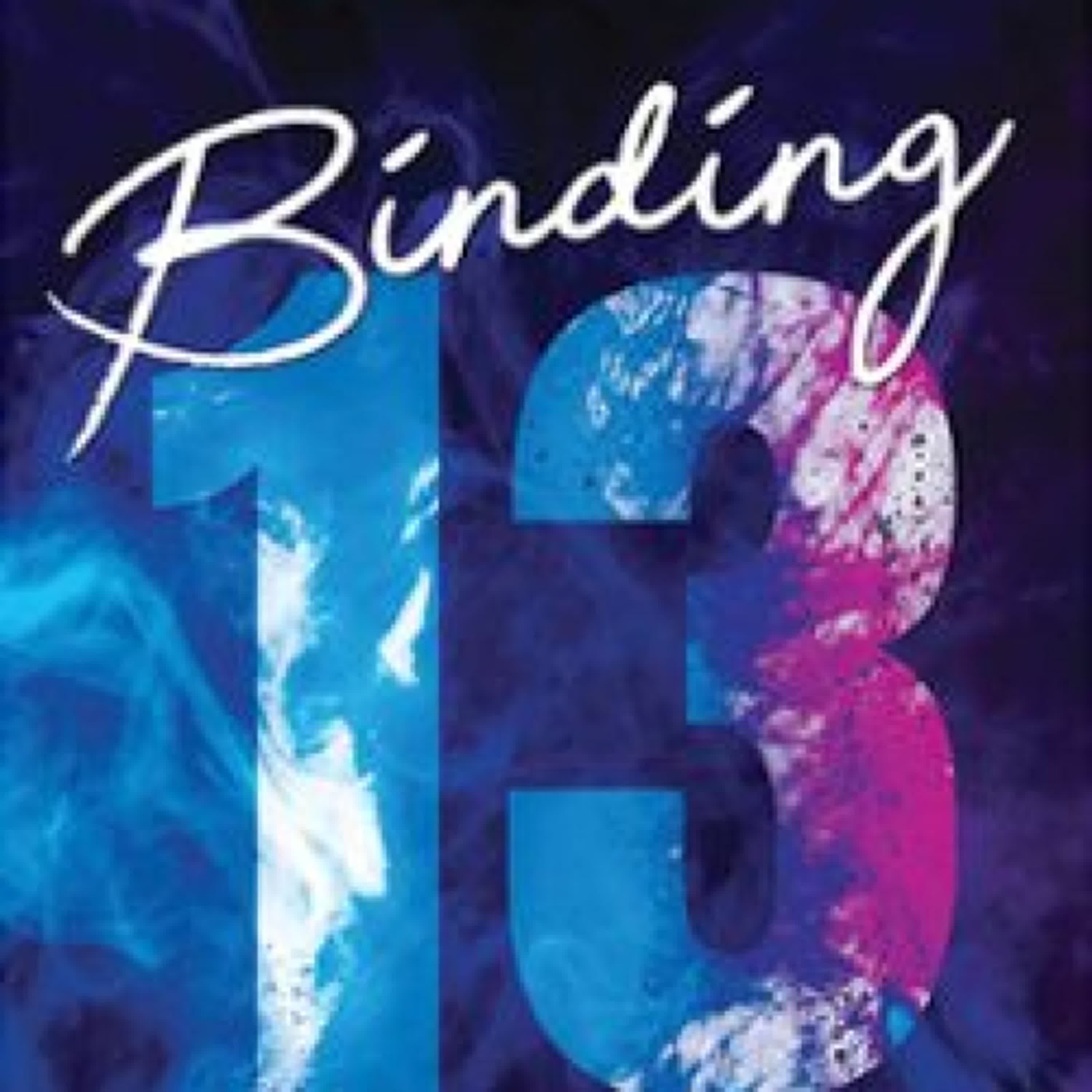 BINDING 13 (LOS CHICOS DE TOMMEN 1) ePub gratis