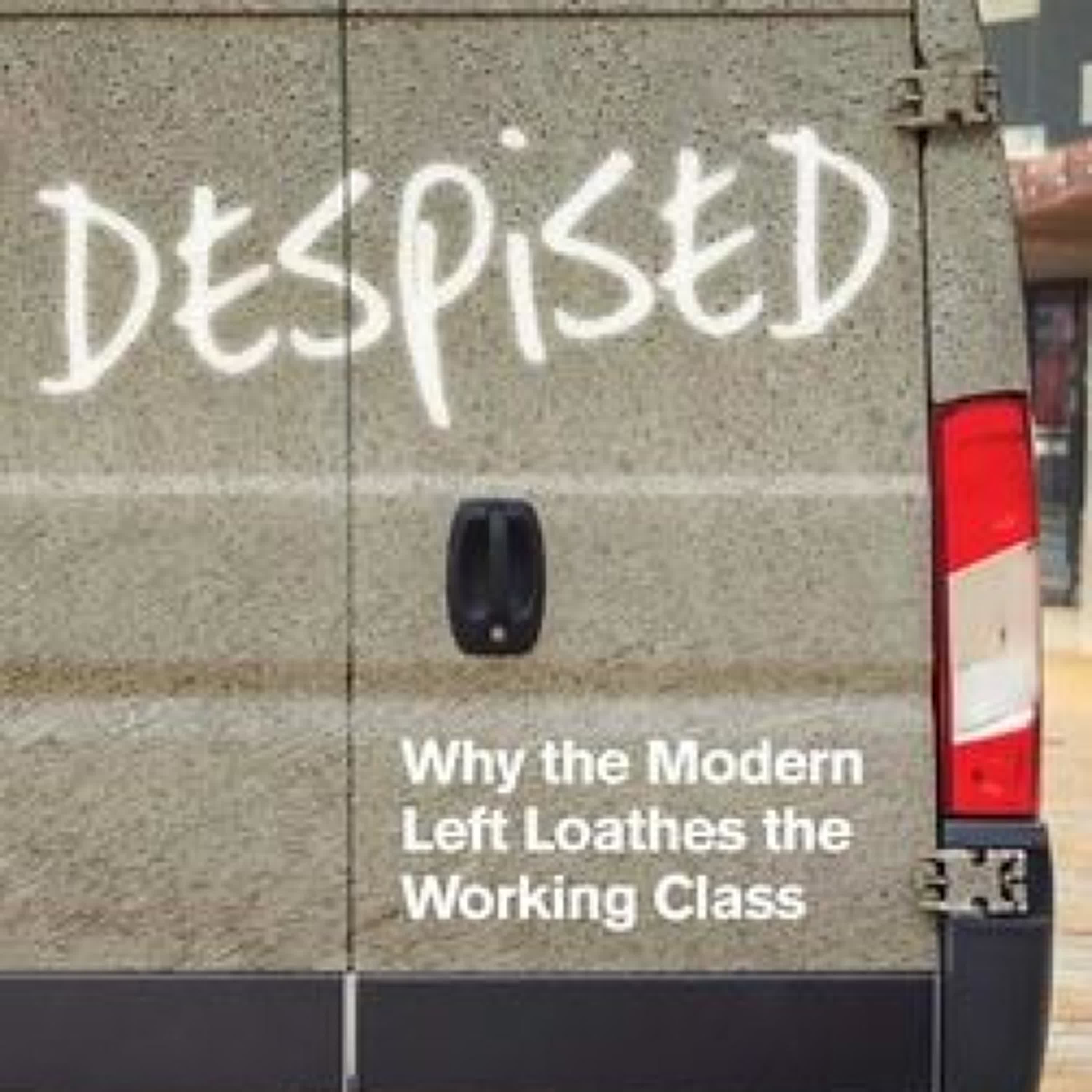 PDF [DOWNLOAD] Despised: Why the Modern Left Loathes the Working Class by Paul Embery on Iphone