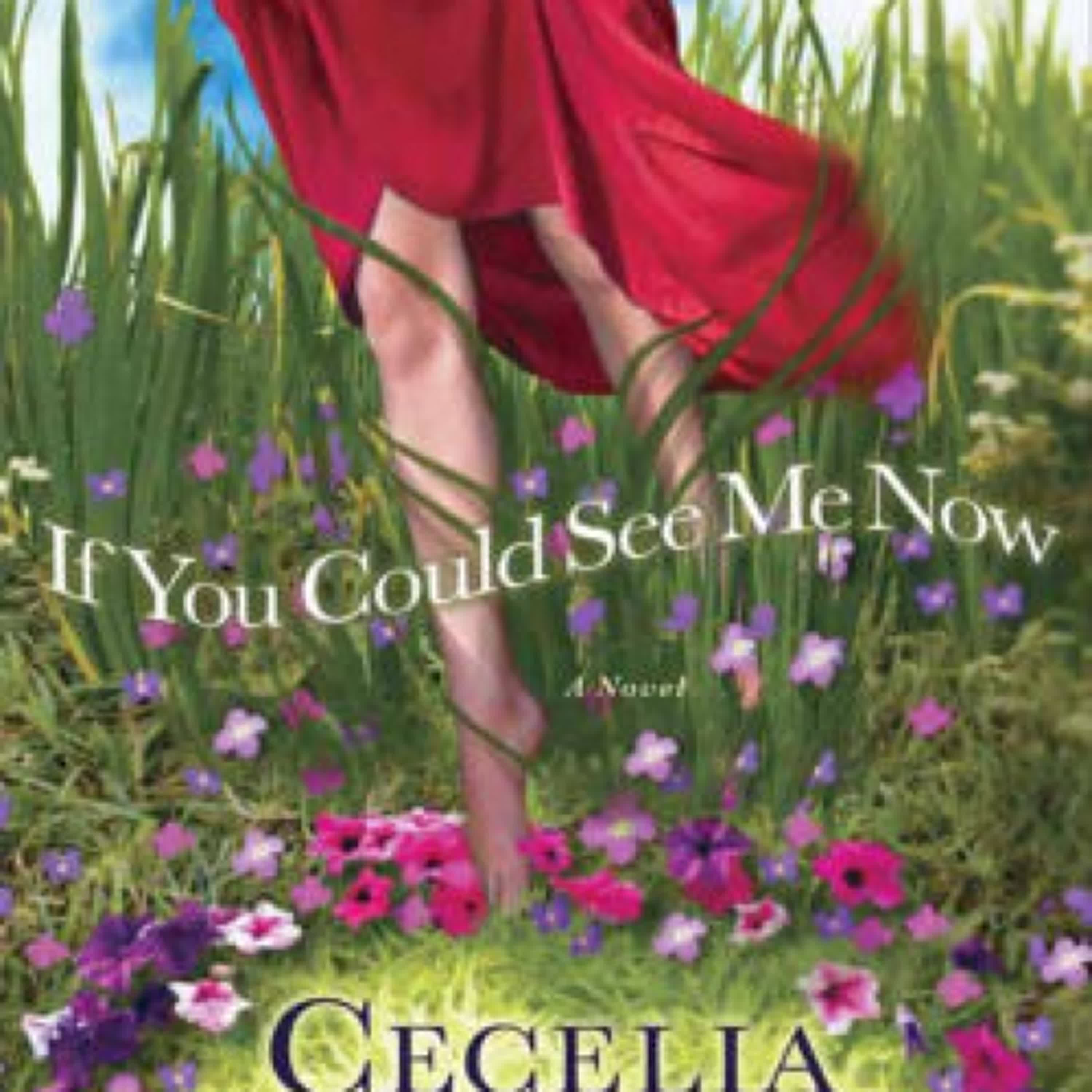 {epub download} If You Could See Me Now by Cecelia Ahern