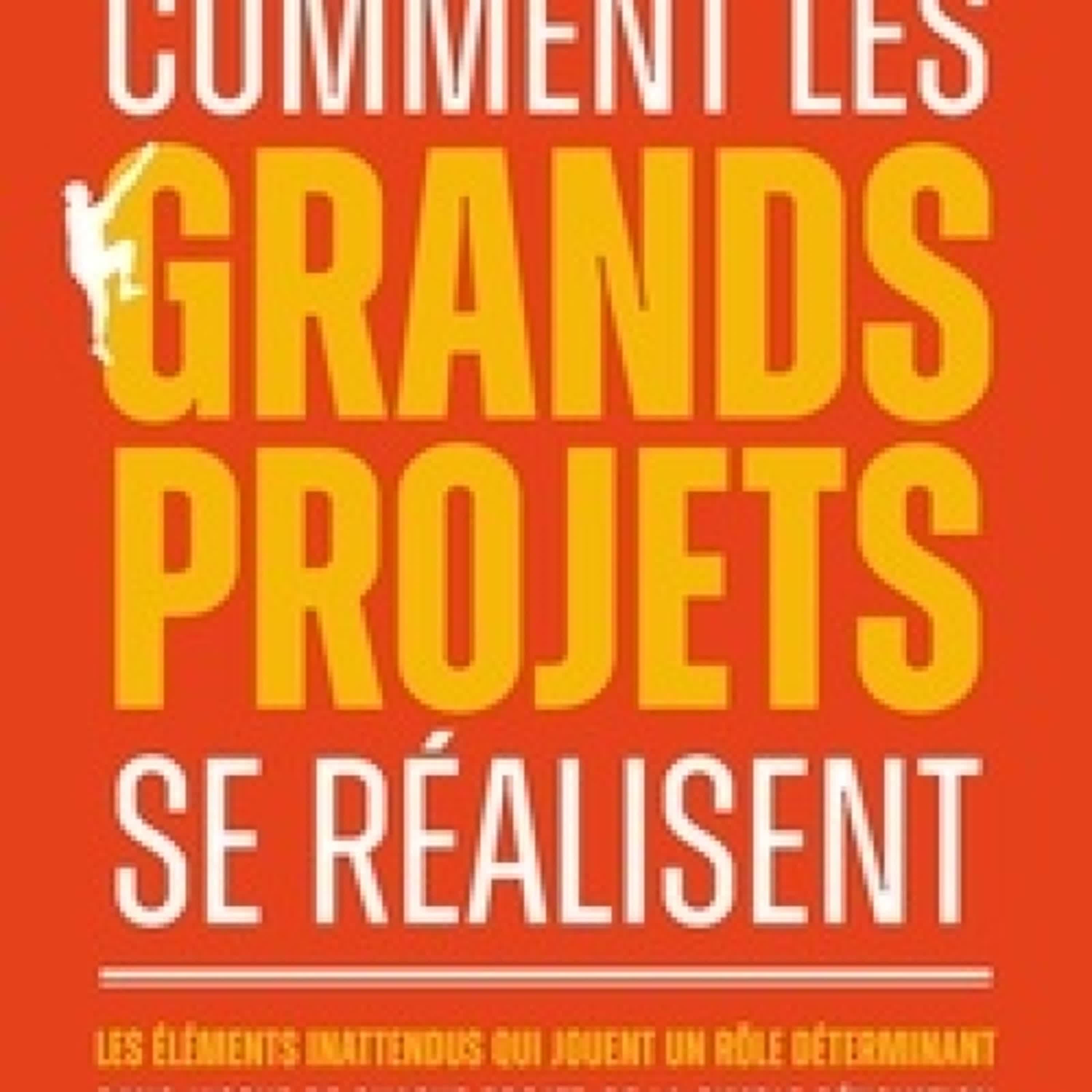 [télécharger pdf] Comment les grands projets se réalisent - Les éléments inattendus qui jouent un rôle déterminant dans l'issue de chaque projet, de la simple rénovation d'une maison à la complexité d'une exploration spatiale