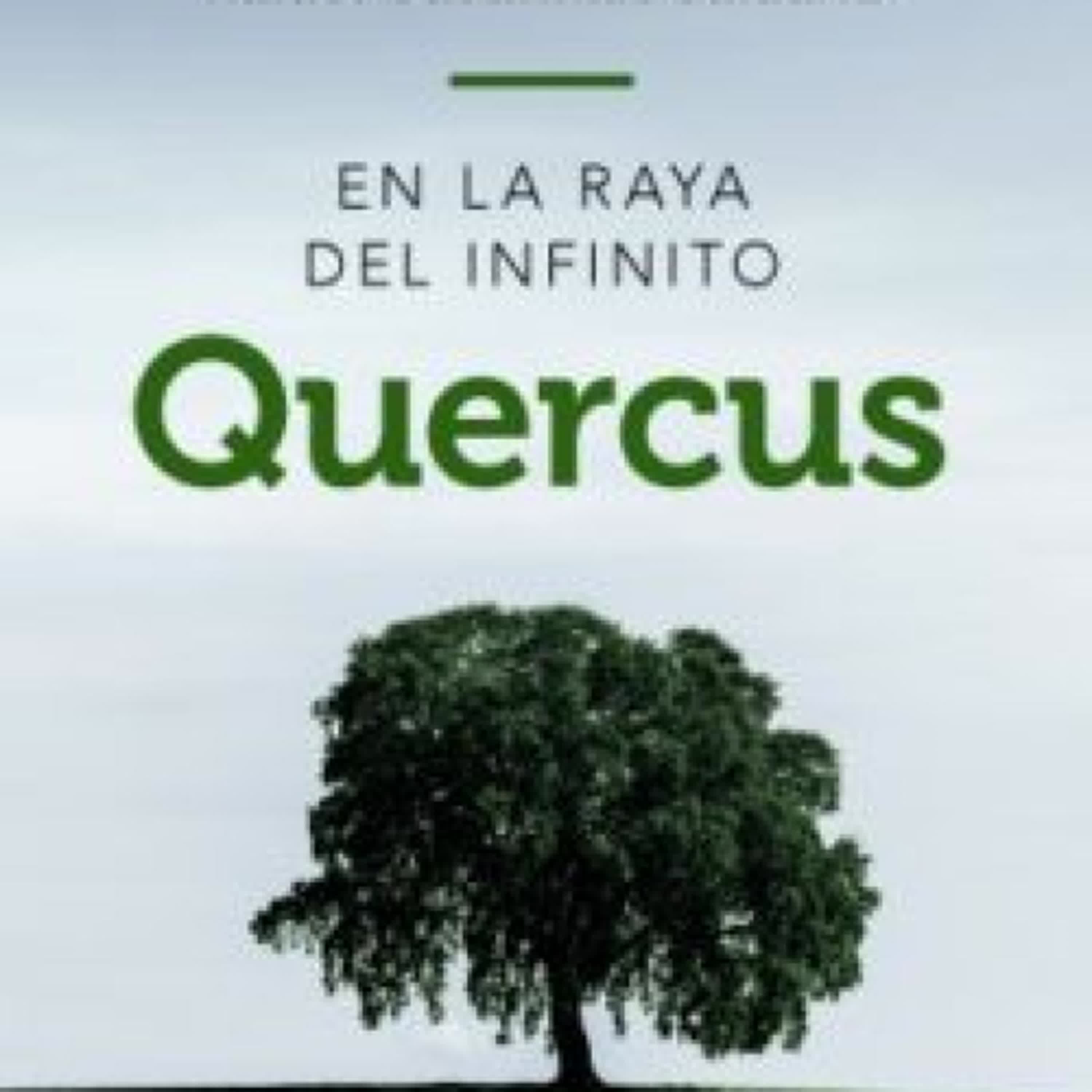 QUERCUS: EN LA RAYA DEL INFINITO leer pdf