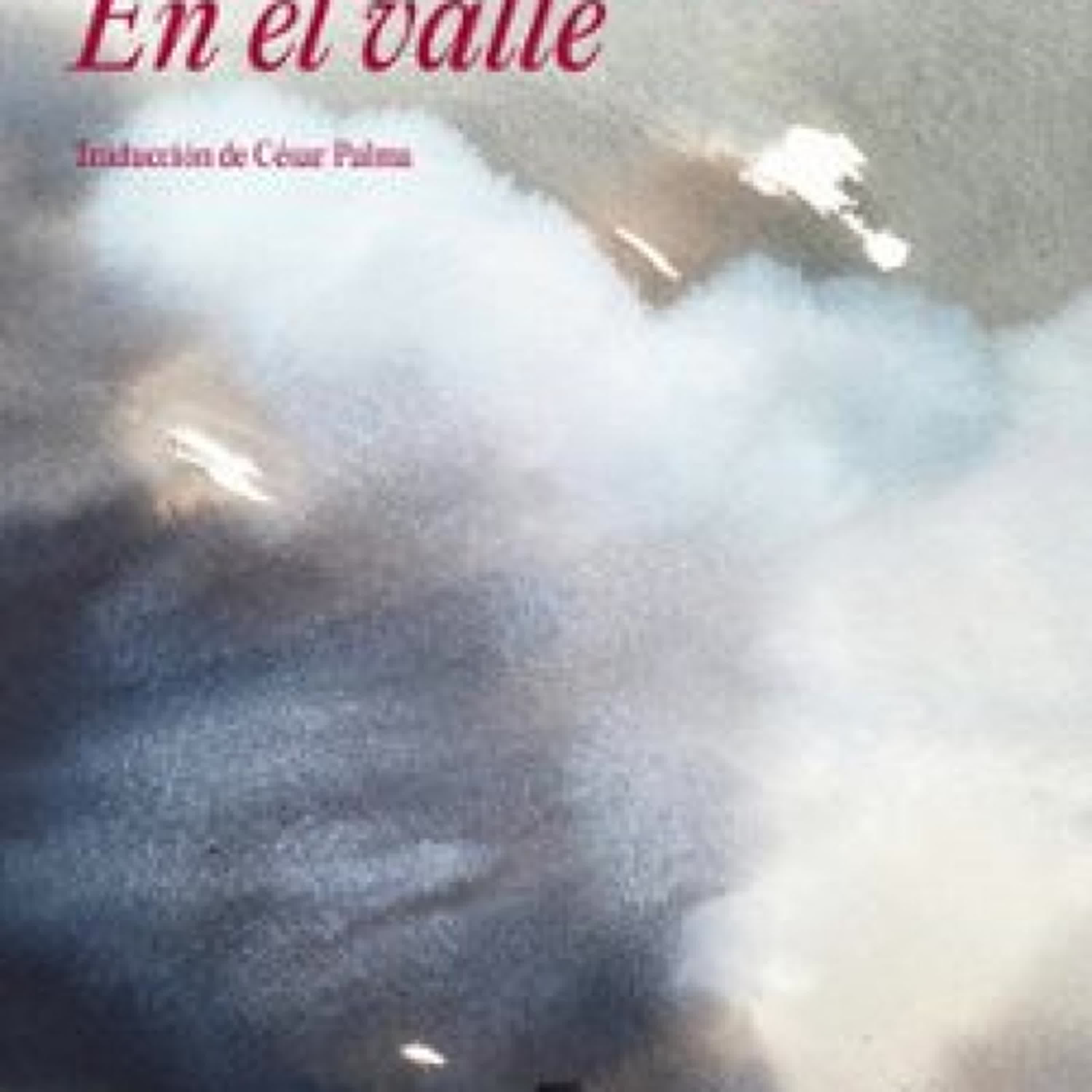 EN EL VALLE EBOOK | Paolo Cognetti | Descargar libro PDF EPUB