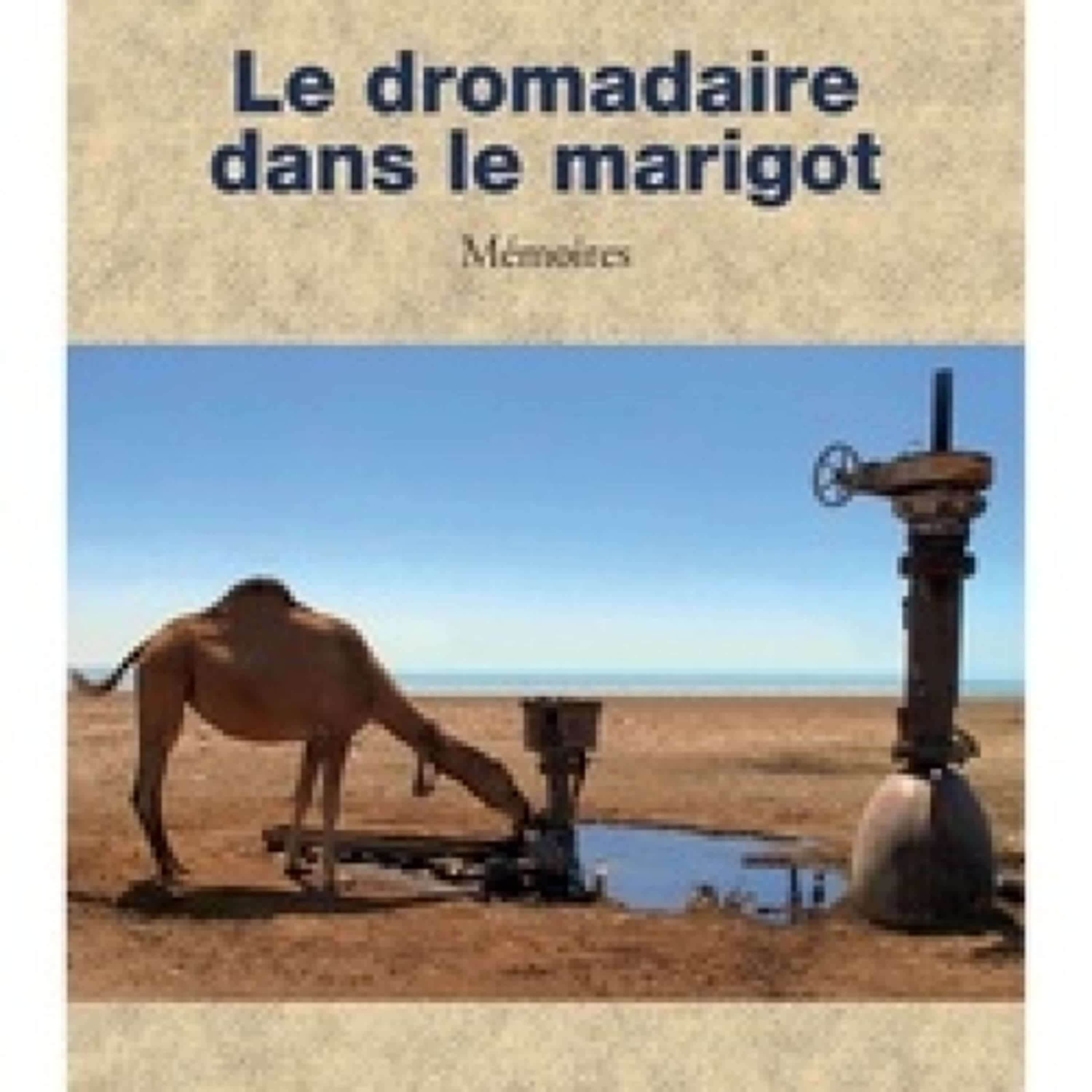 Télécharger PDF Le dromadaire dans le marigot - Mémoires
