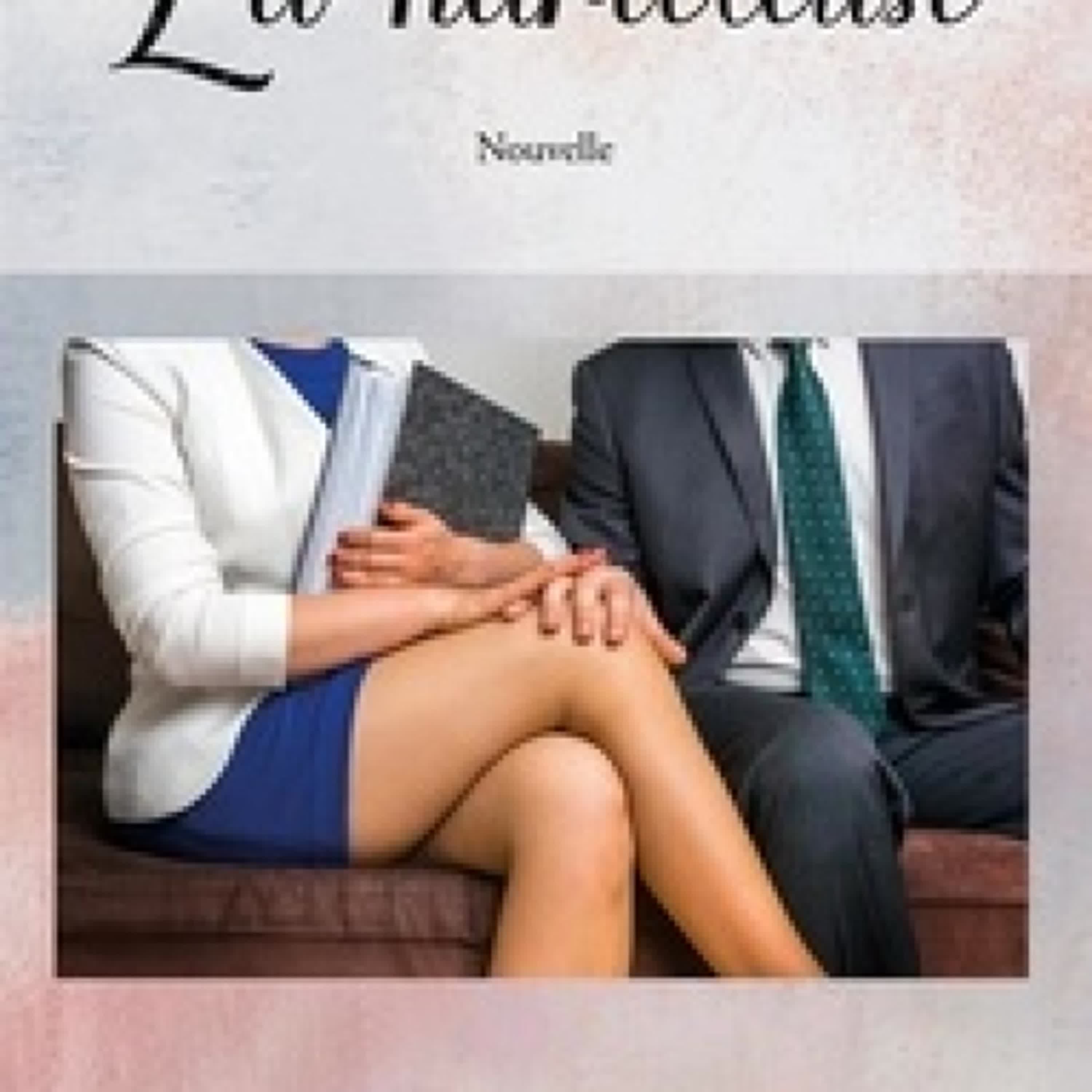 Lecture en ligne Ebook La Harceleuse