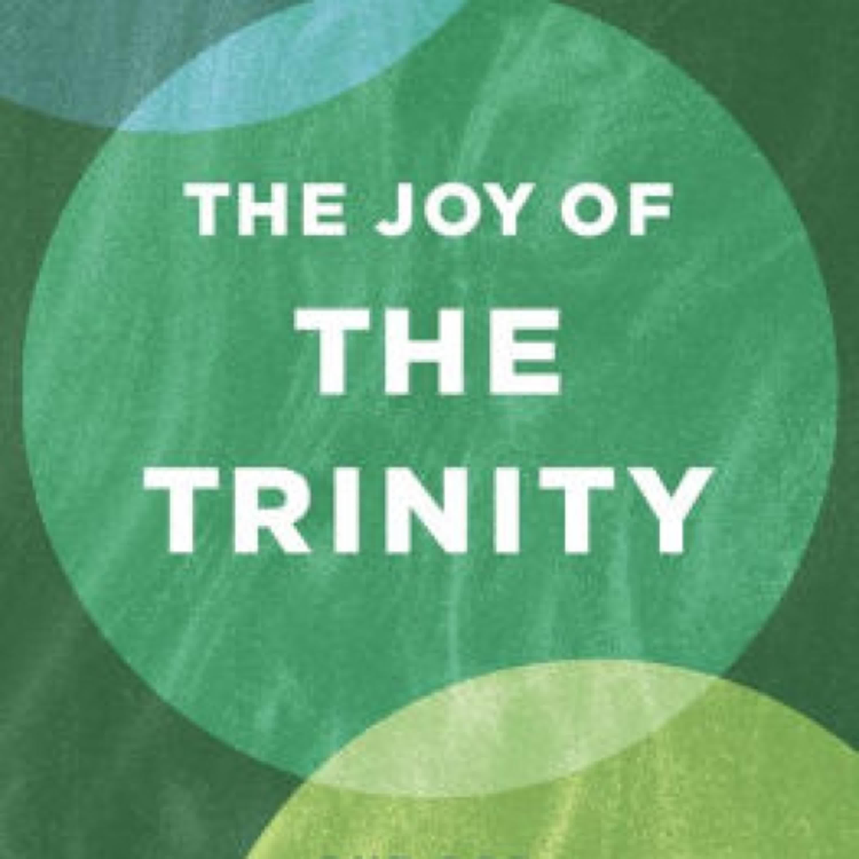 DOWNLOAD [PDF] {EPUB} The Joy of the Trinity: One God, Three Persons by Tara-Leigh Cobble