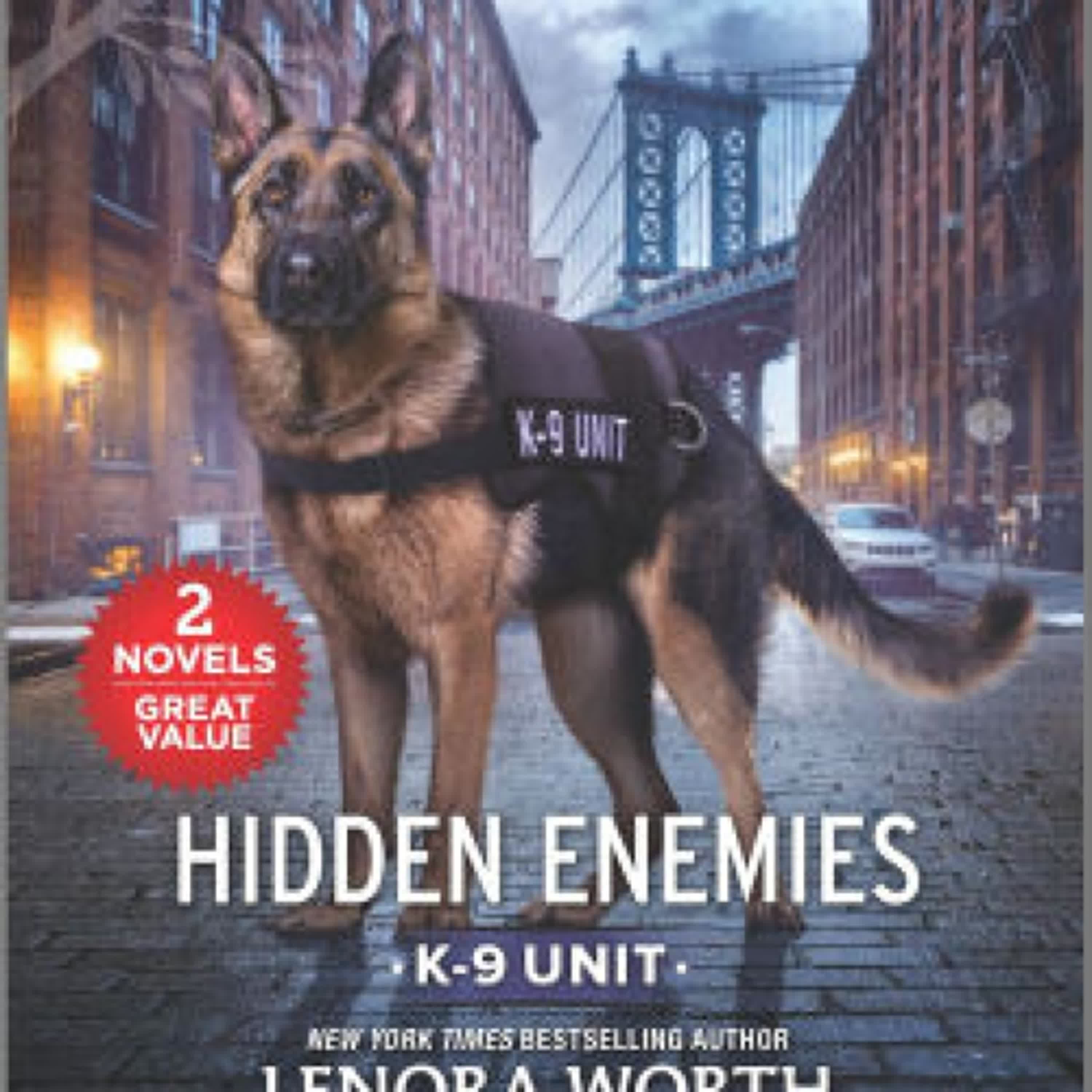 [download pdf] Hidden Enemies by Lenora Worth, Terri Reed