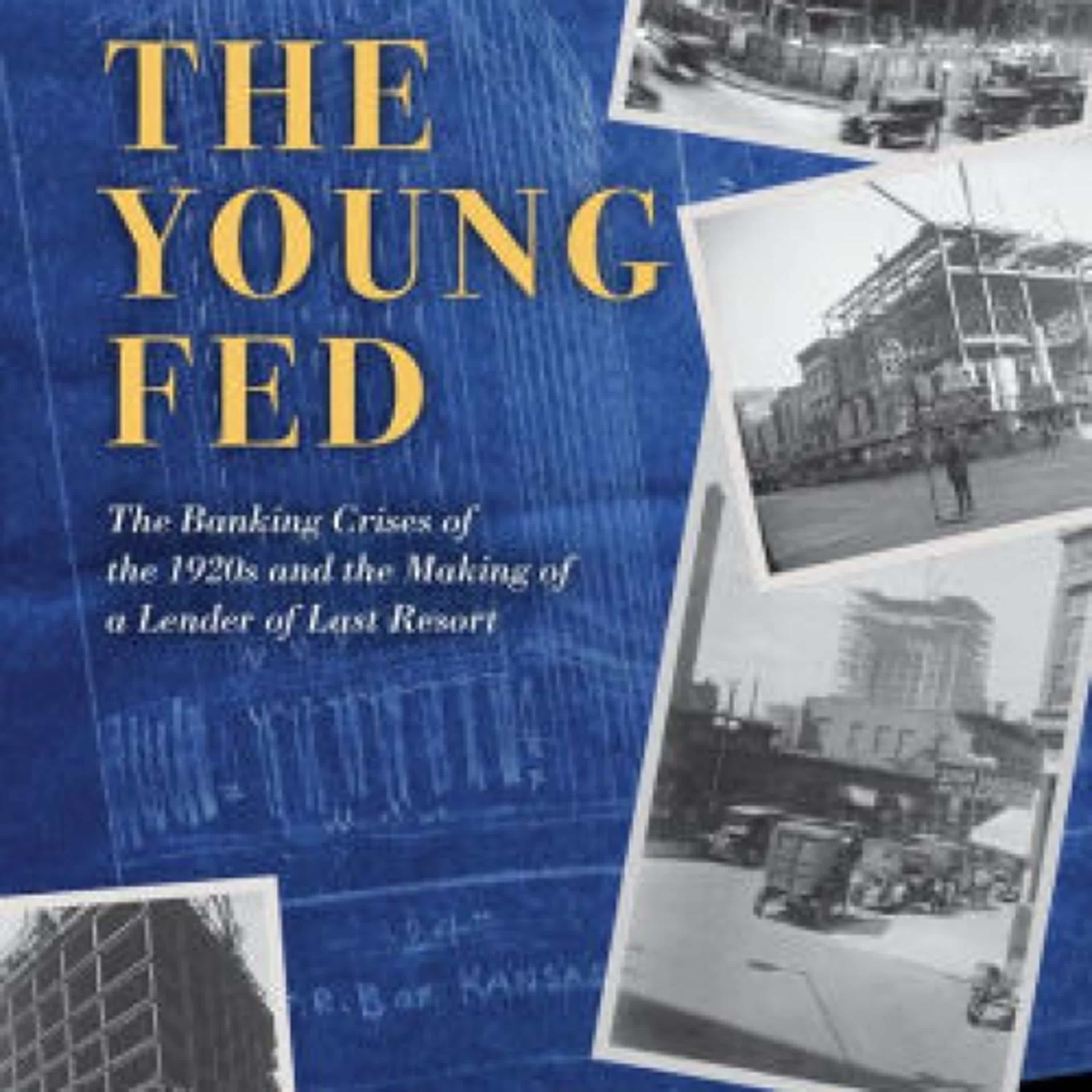 Download PDF The Young Fed: The Banking Crises of the 1920s and the Making of a Lender of Last Resort by Mark Carlson