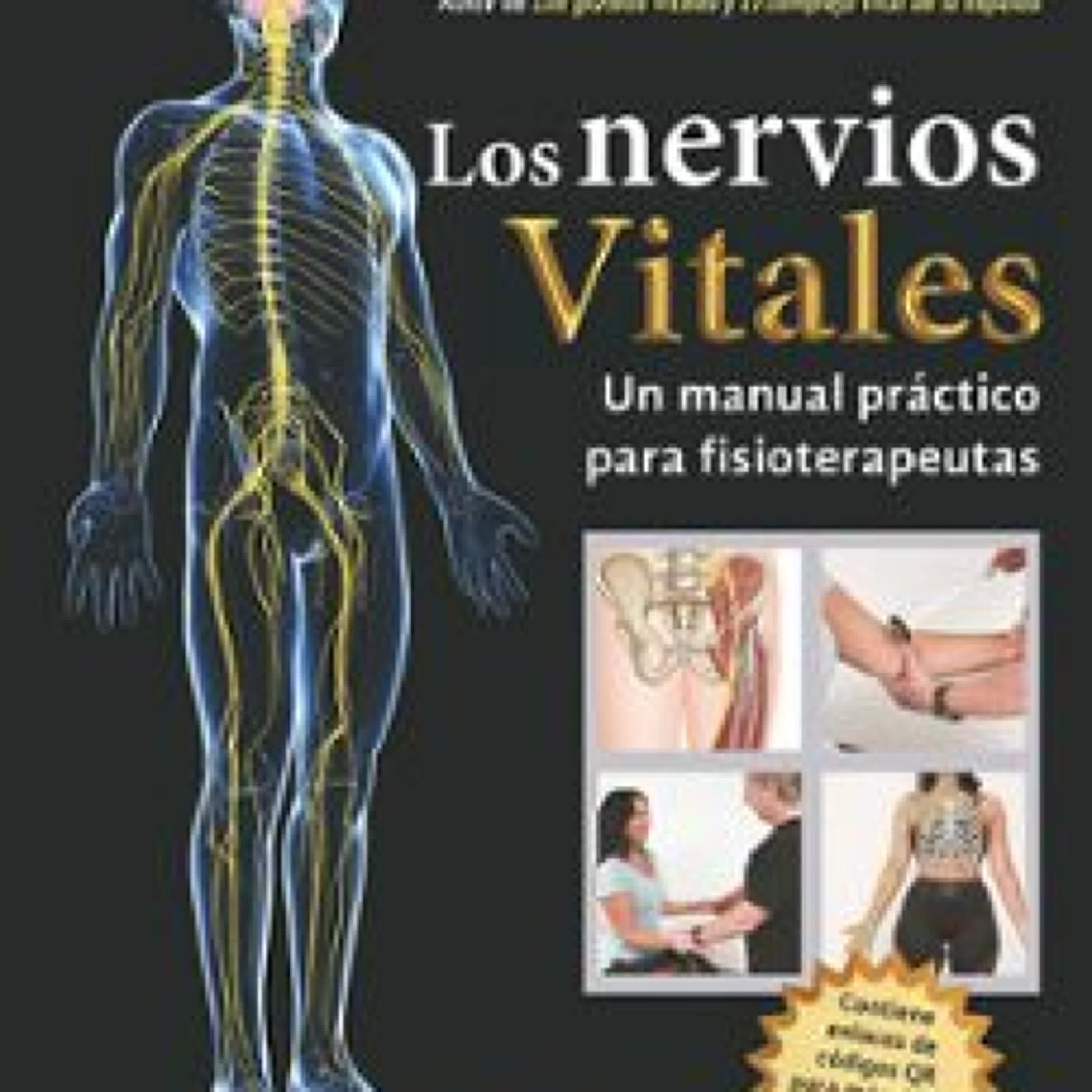 LOS NERVIOS VITALES. UN MANUAL PRÁCTICO PARA FISIOTERAPEUTAS (COLOR)				EBOOK leer el libro pdf