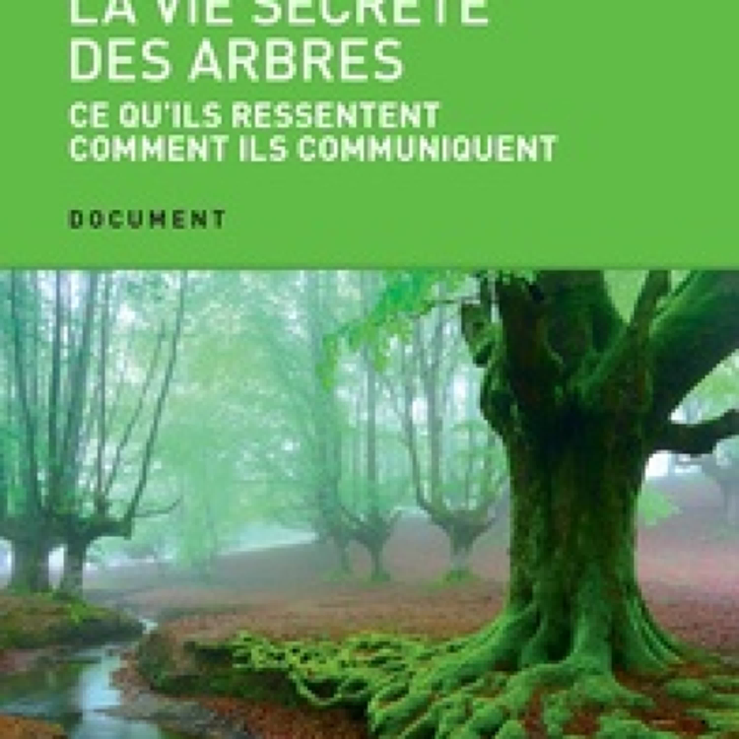 Lecture en ligne Ebook La vie secrète des arbres