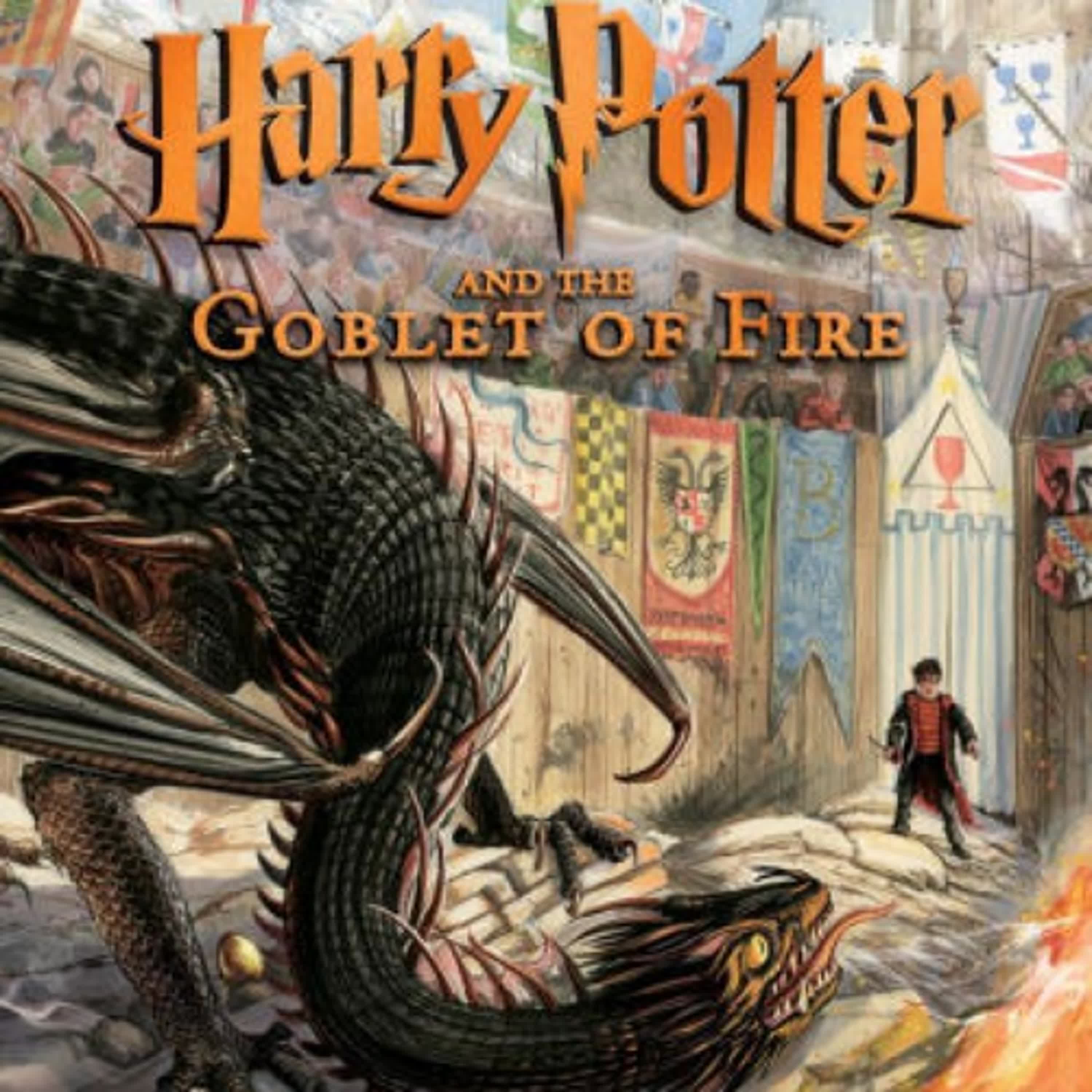 Harry Potter and the Goblet of Fire: The Illustrated Edition by J. K. Rowling, Jim Kay on Iphone New Format