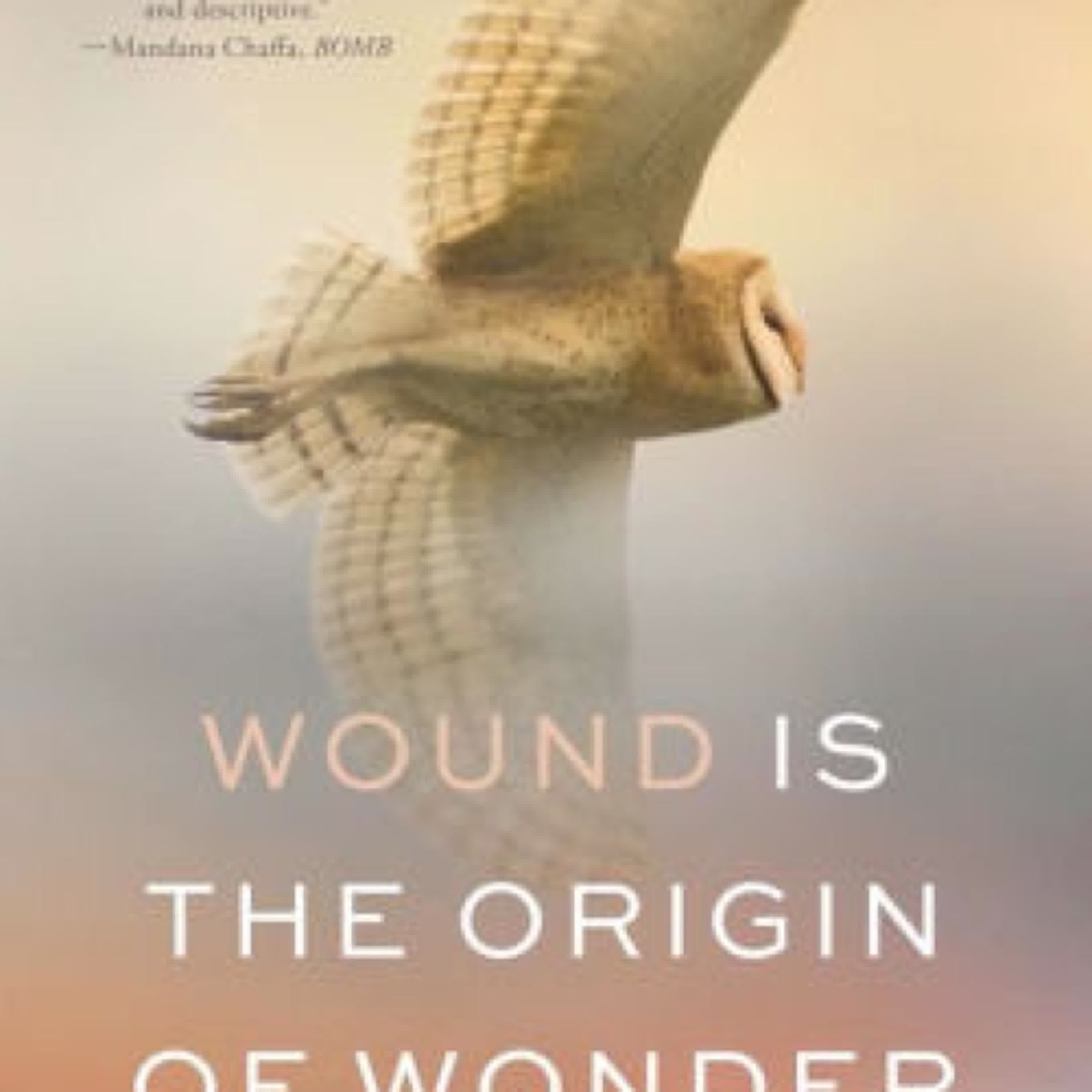 PDF [DOWNLOAD] Wound Is the Origin of Wonder: Poems by Maya C. Popa on Iphone