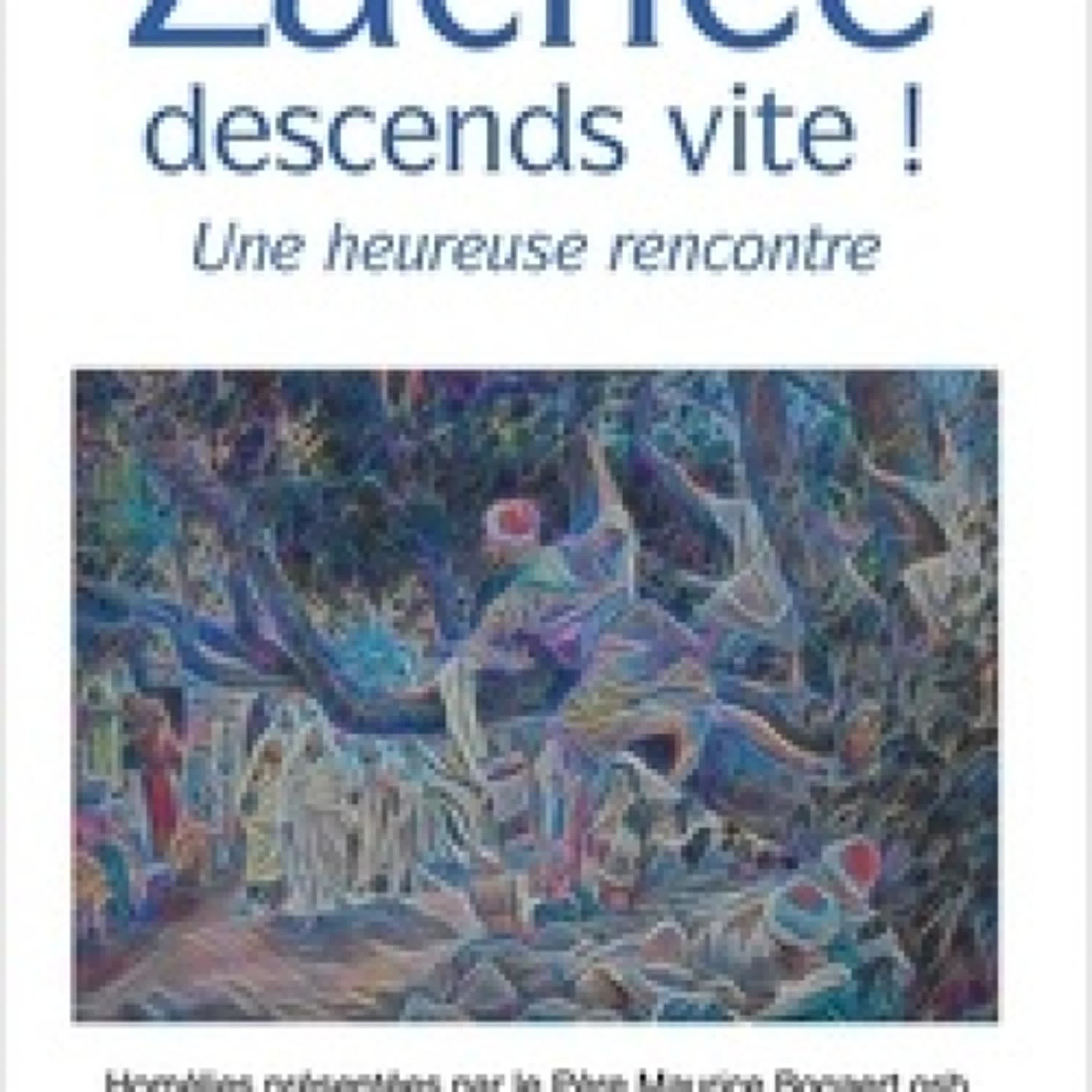 Télécharger PDF Zachée, descends vite ! - Une heureuse rencontre