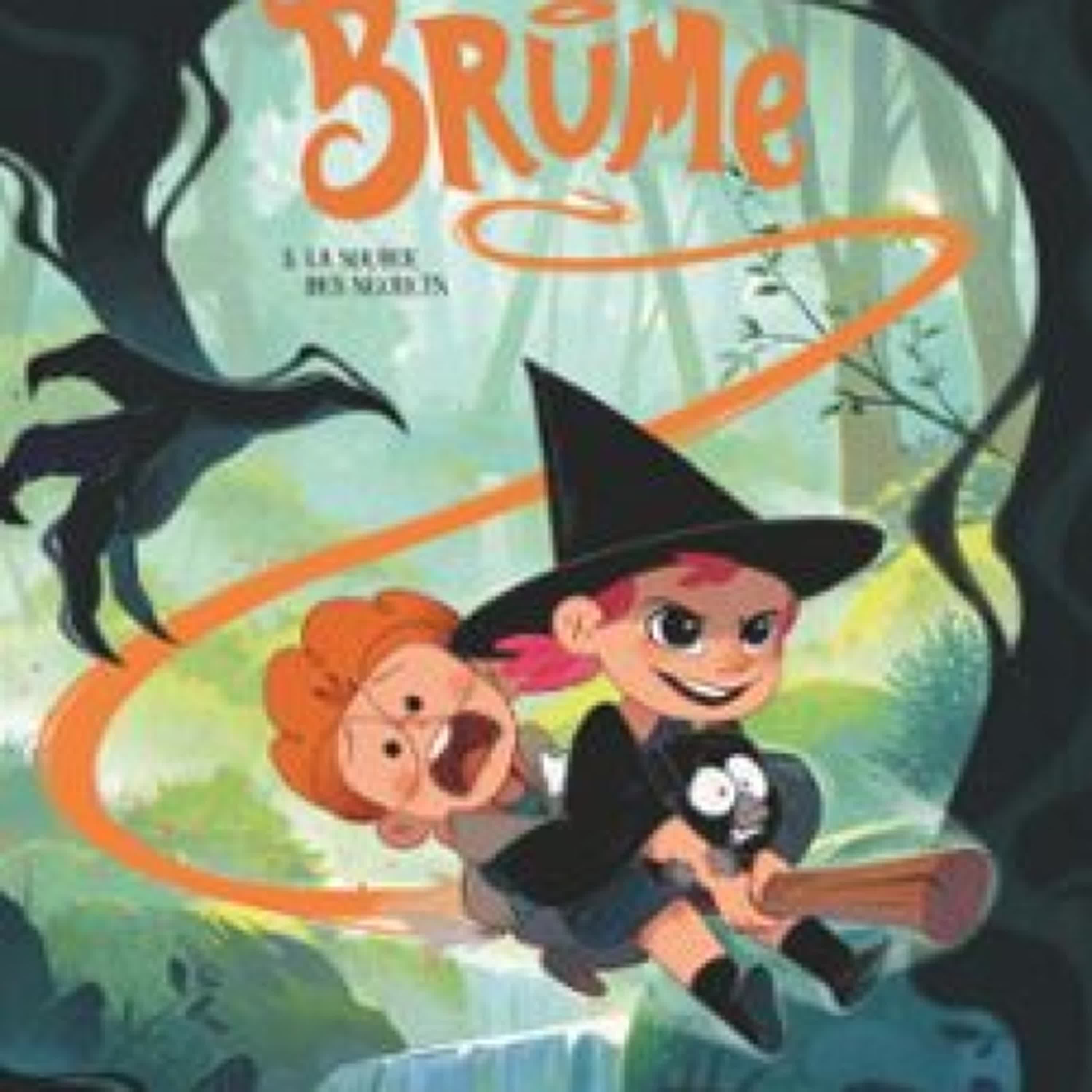 BRUME - TOME 03  (edición en francés) leer pdf