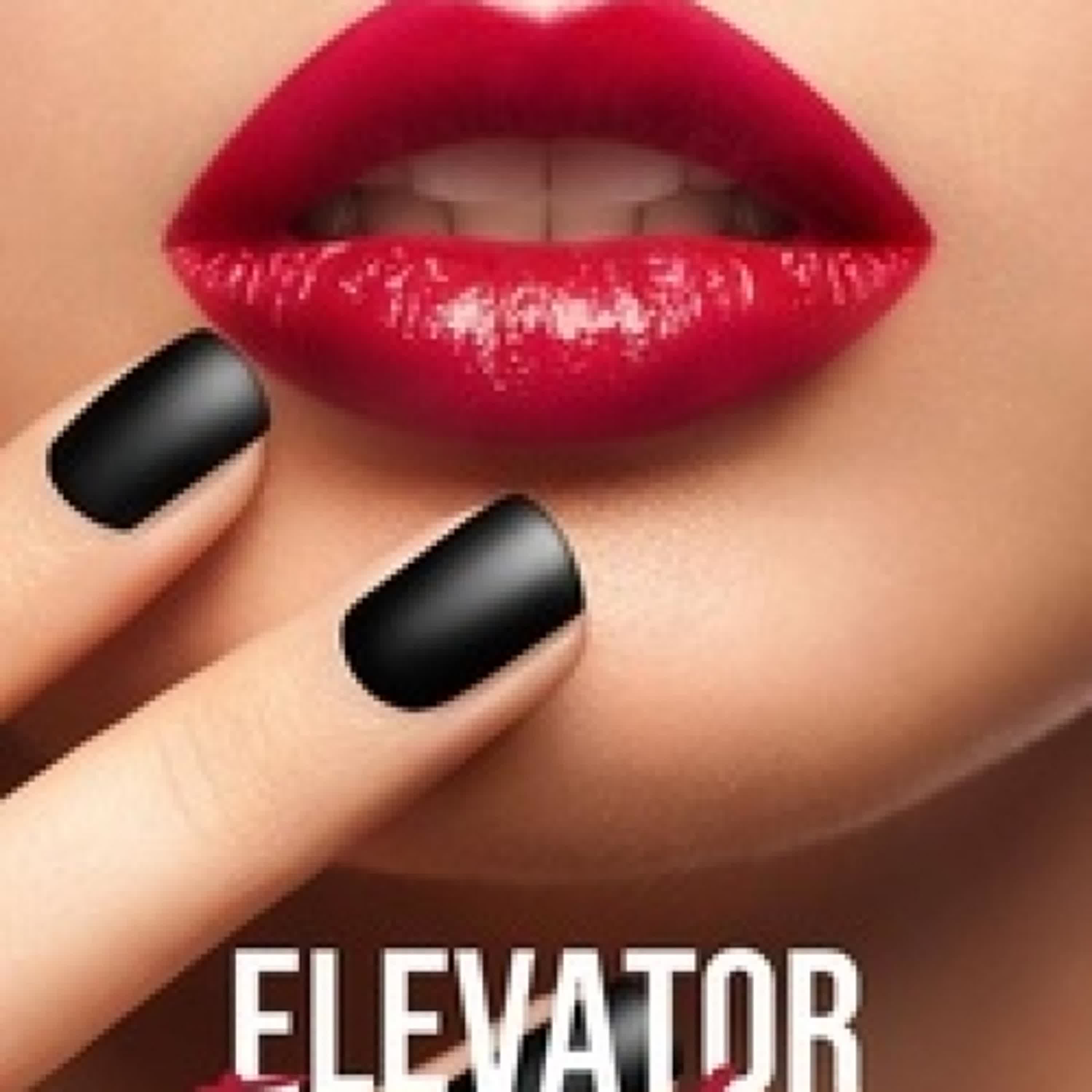 {téléchargement pdf} Elevator Encounters - Encounters of the Public Kind, #1