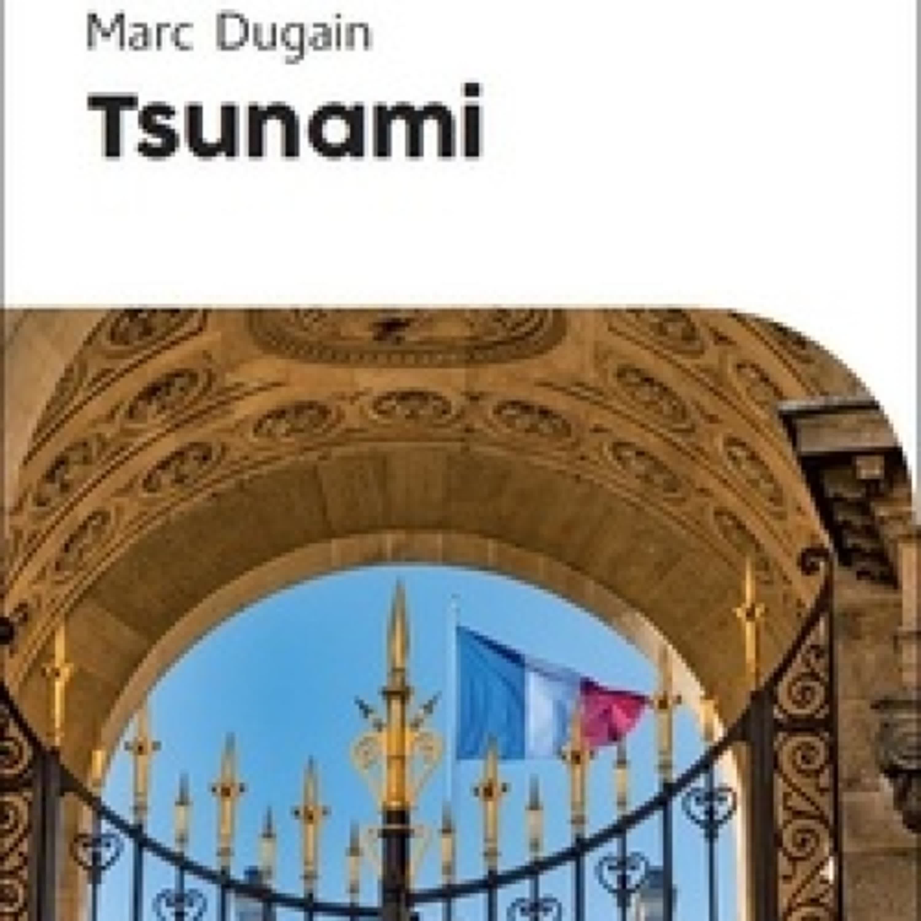 [Kindle] Tsunami téléchargement