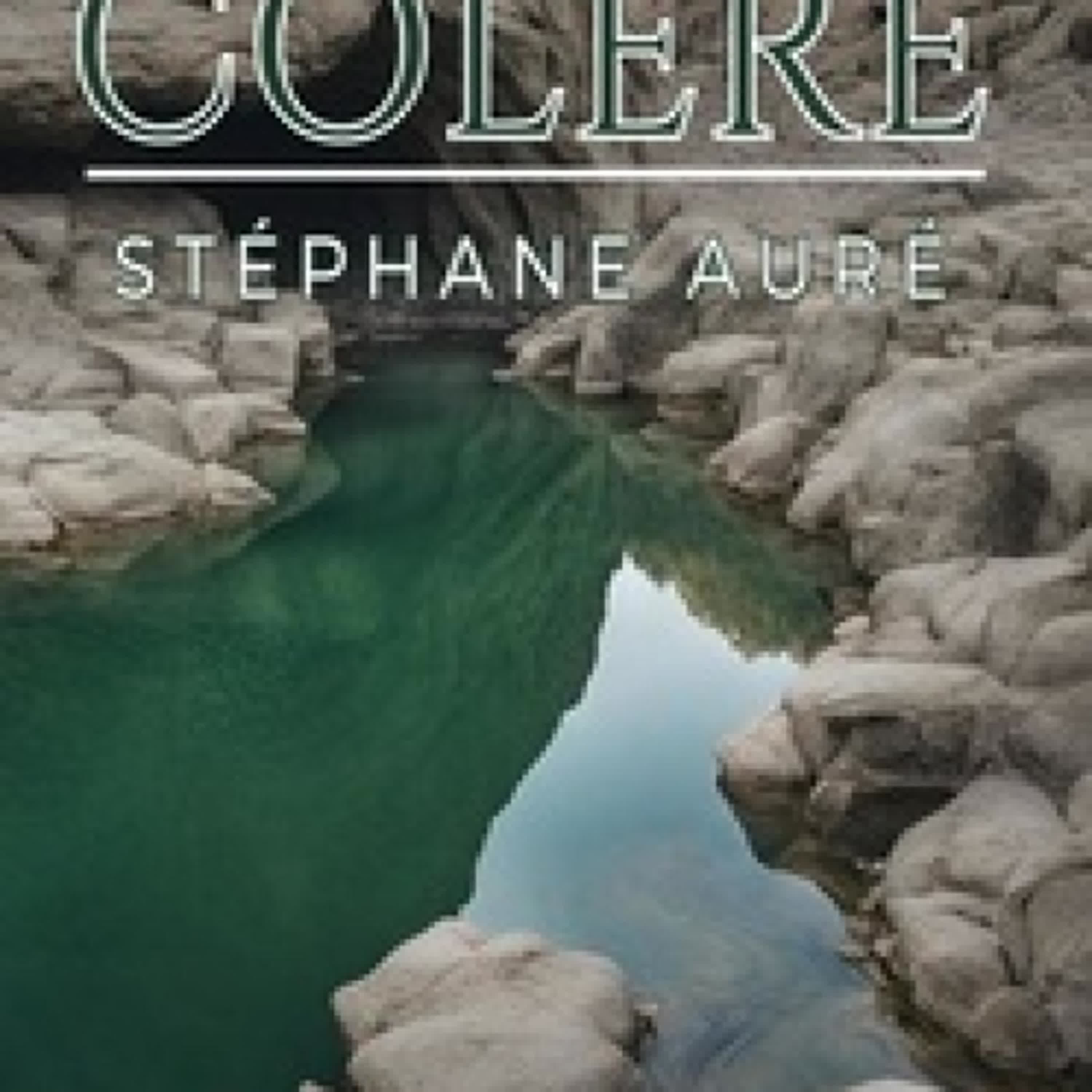[PDF] Aux racines de la colère téléchargement