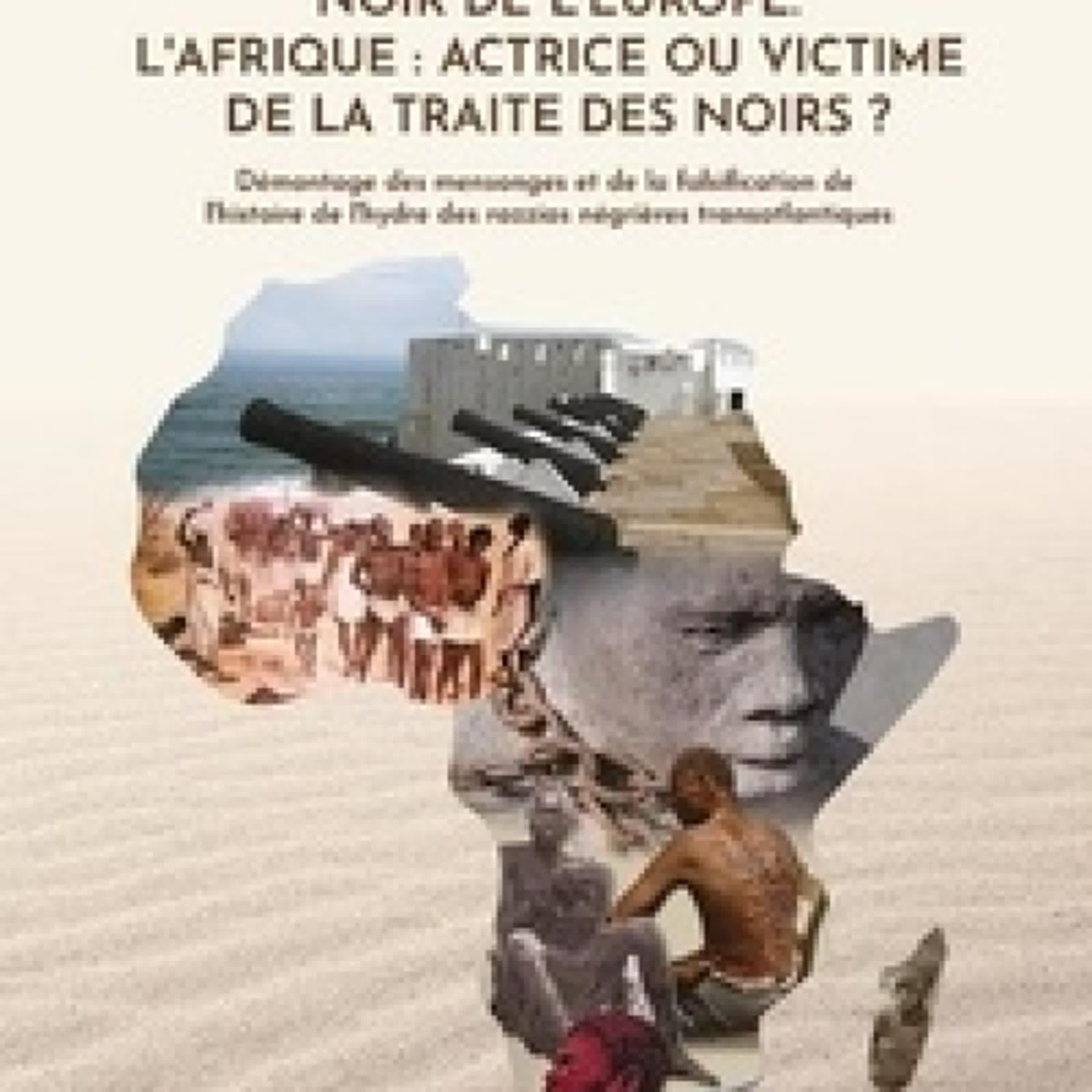 [PDF] Quand l'Africain était l'or noir de l'Europe. L'Afrique : actrice ou victime de la traite des noirs ?  - Démontage des mensonges et de la falsification de l'histoire de l'hydre des razzias négrières transatlantiques téléchargement