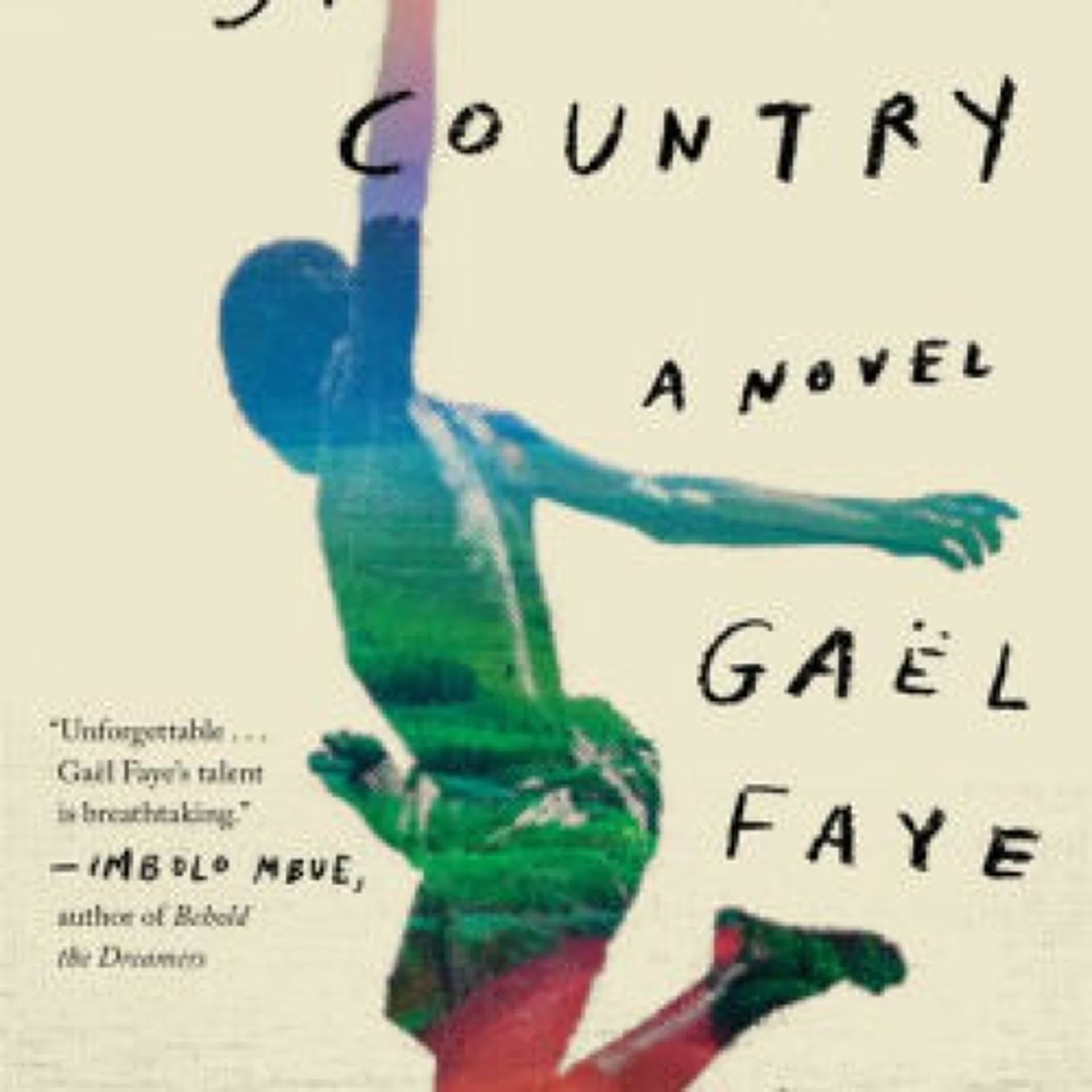 Download PDF Small Country by Gaël Faye