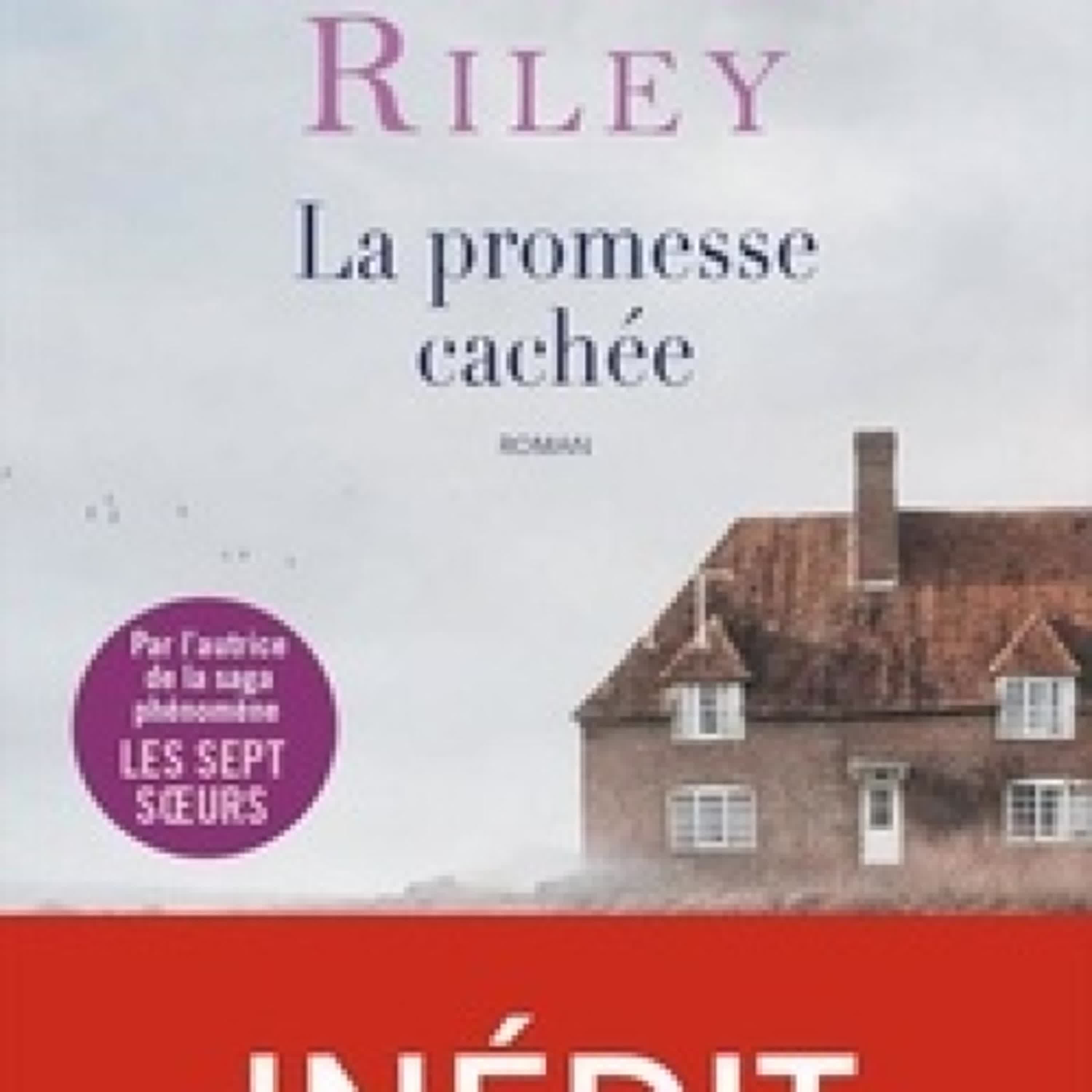{téléchargement epub} La promesse cachée