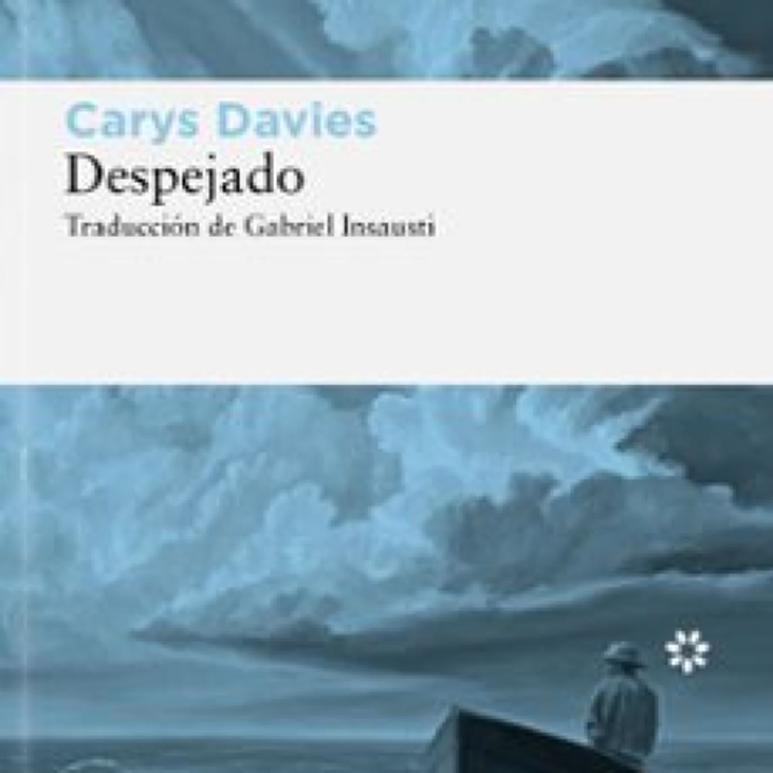 DESPEJADO leer el libro pdf