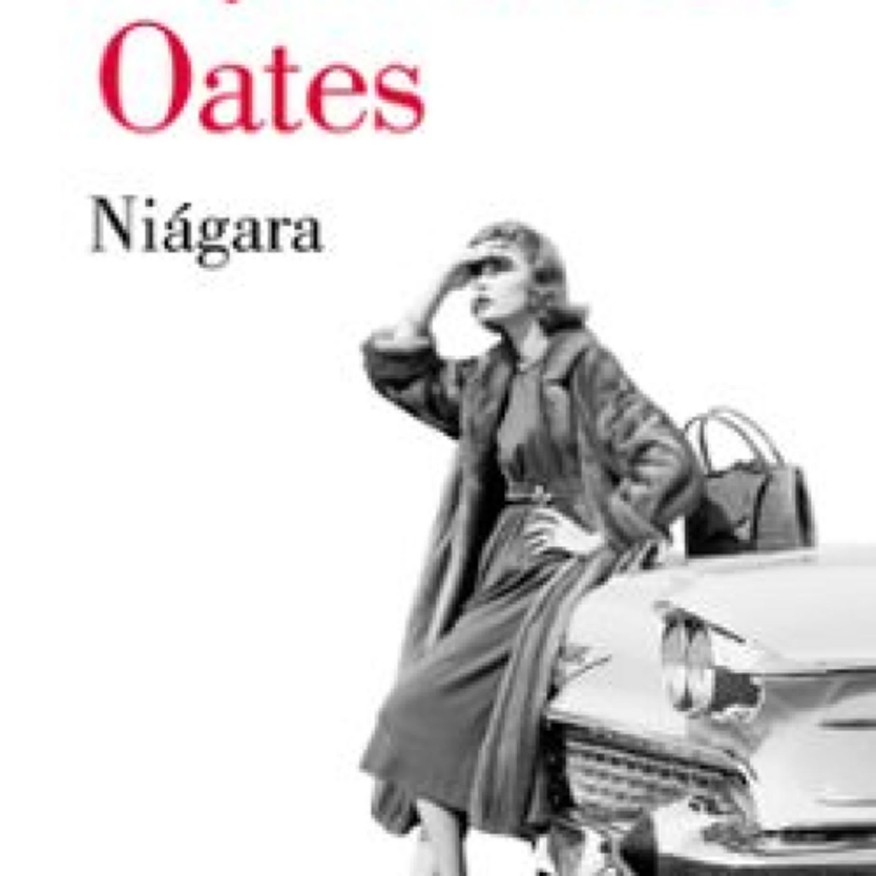 [PDF] NIÁGARA descargar gratis