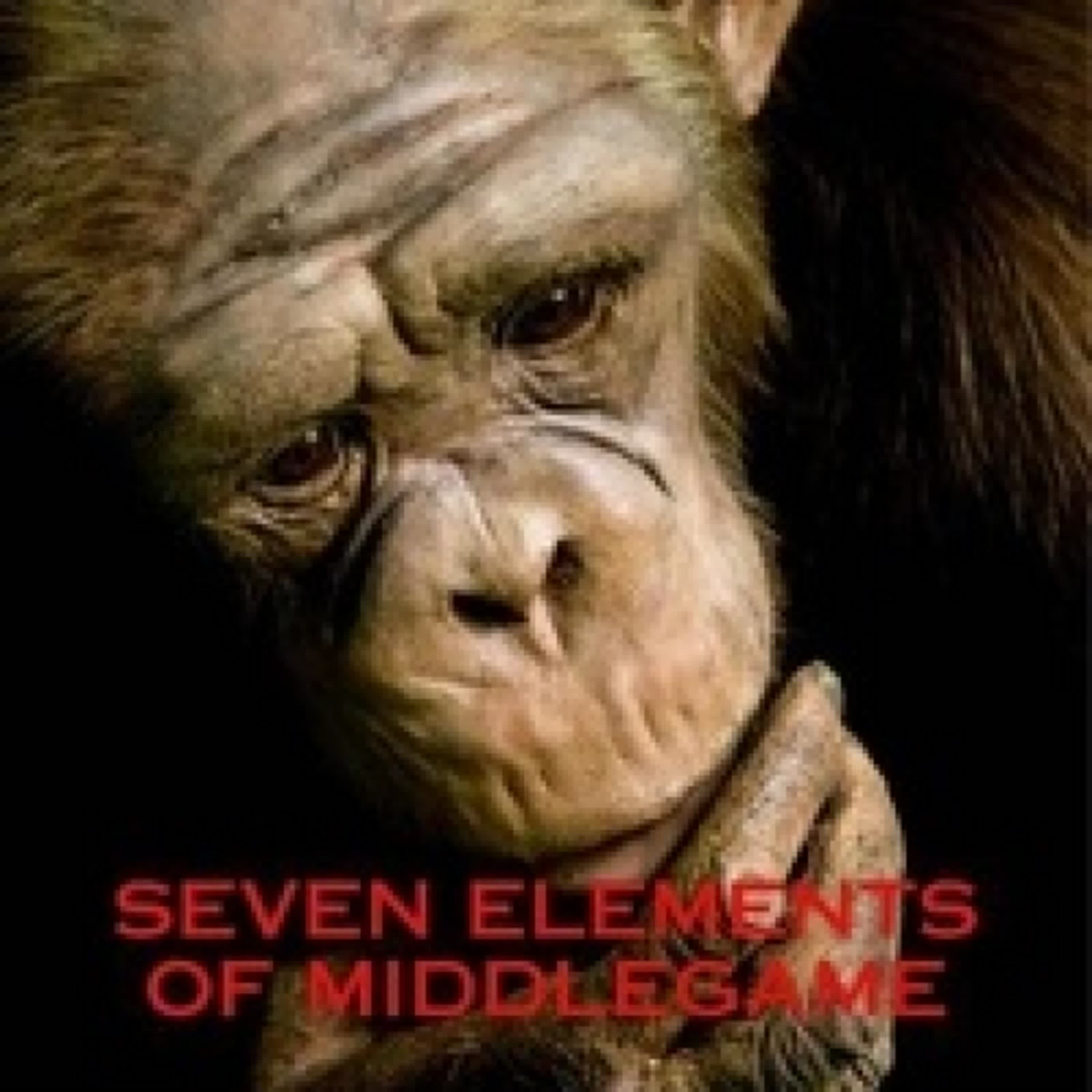 Télécharger Pdf Seven Elements of Middlegame