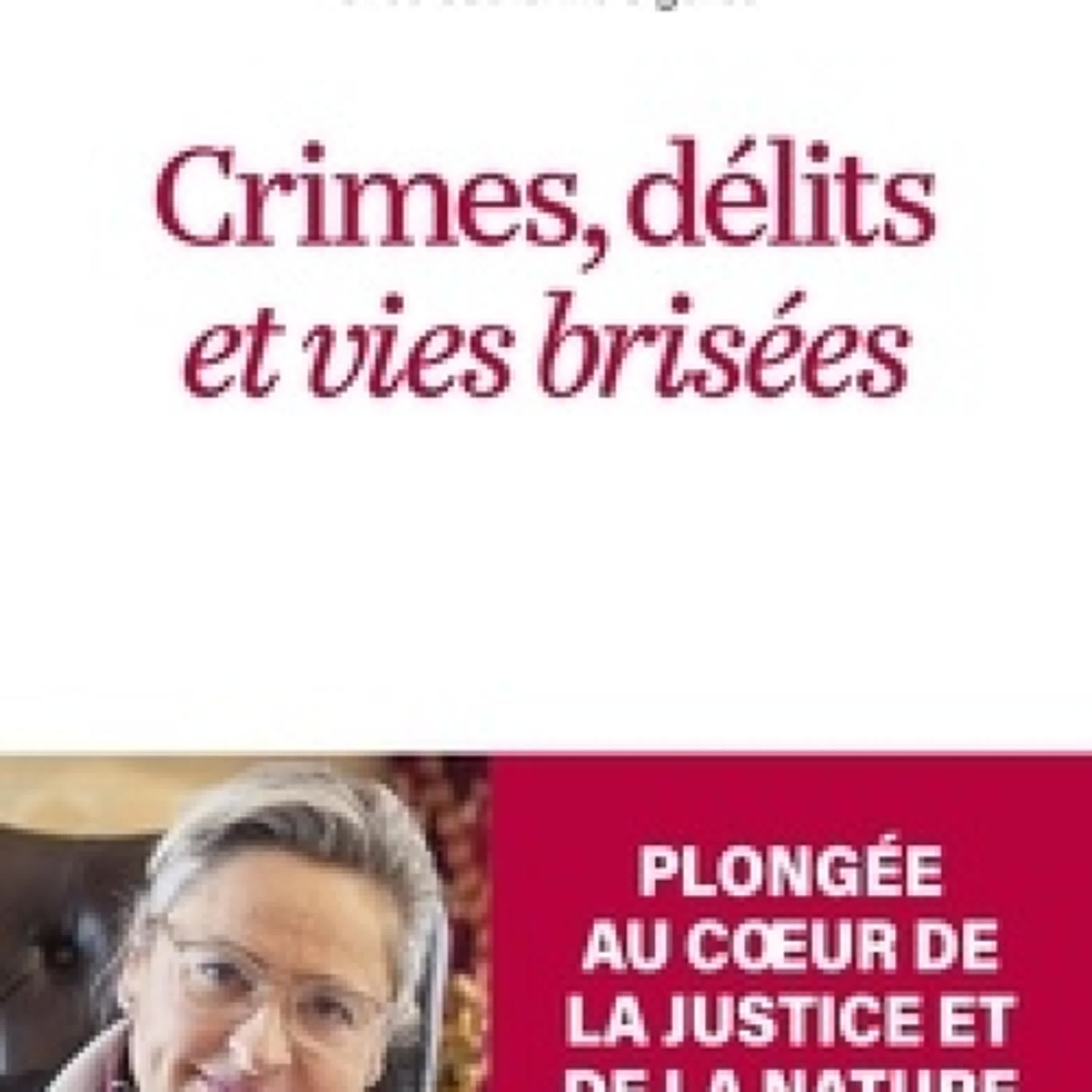 TÉLÉCHARGEMENTS Crimes, délits et vies brisées - Les combats d'une avocate éprise de justice