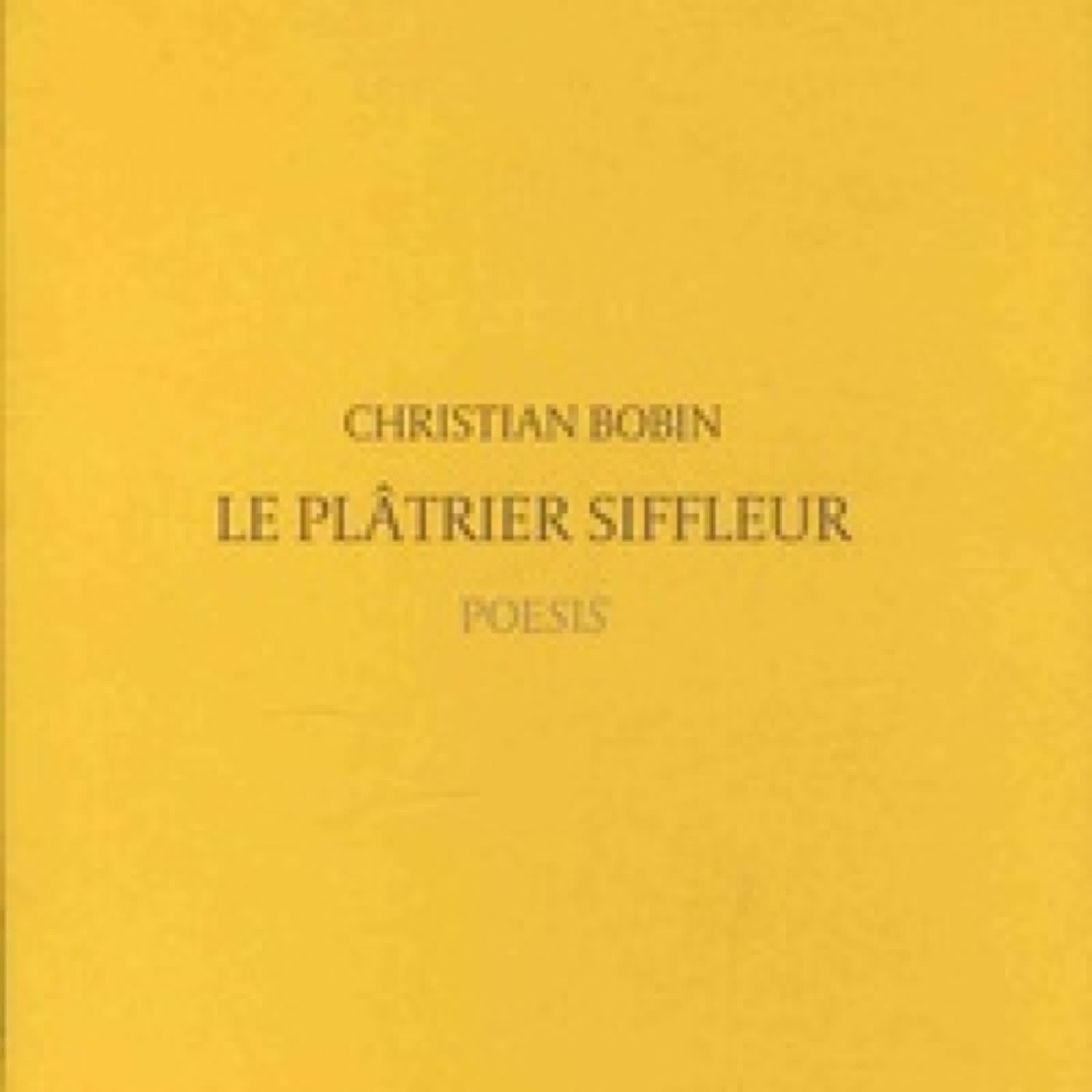 {téléchargement pdf} Le plâtrier siffleur