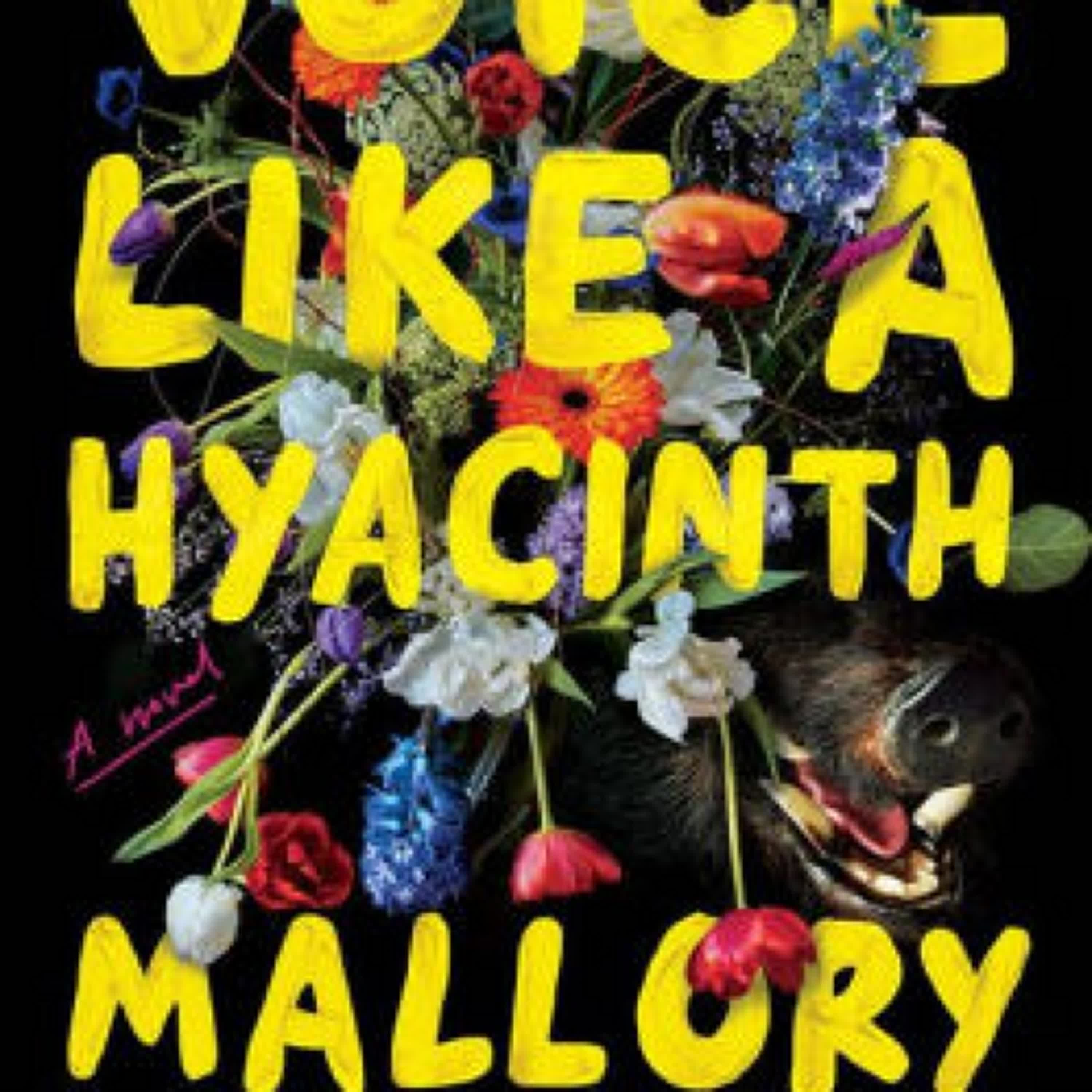 PDF/EPUB Download Voice Like a Hyacinth: A Novel by Mallory Pearson Full Book