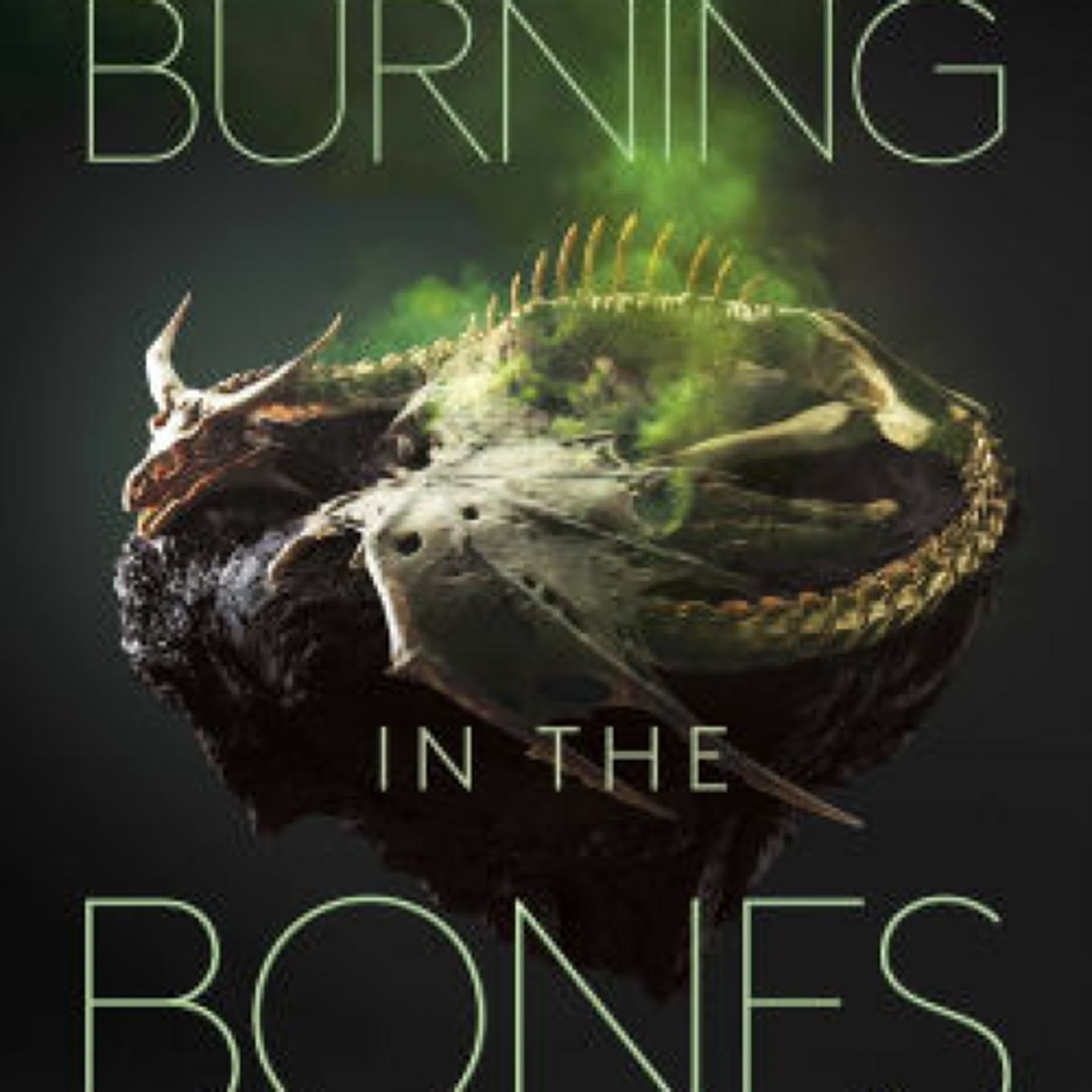 [Pdf/ePub] A Burning in the Bones by Scott Reintgen download ebook