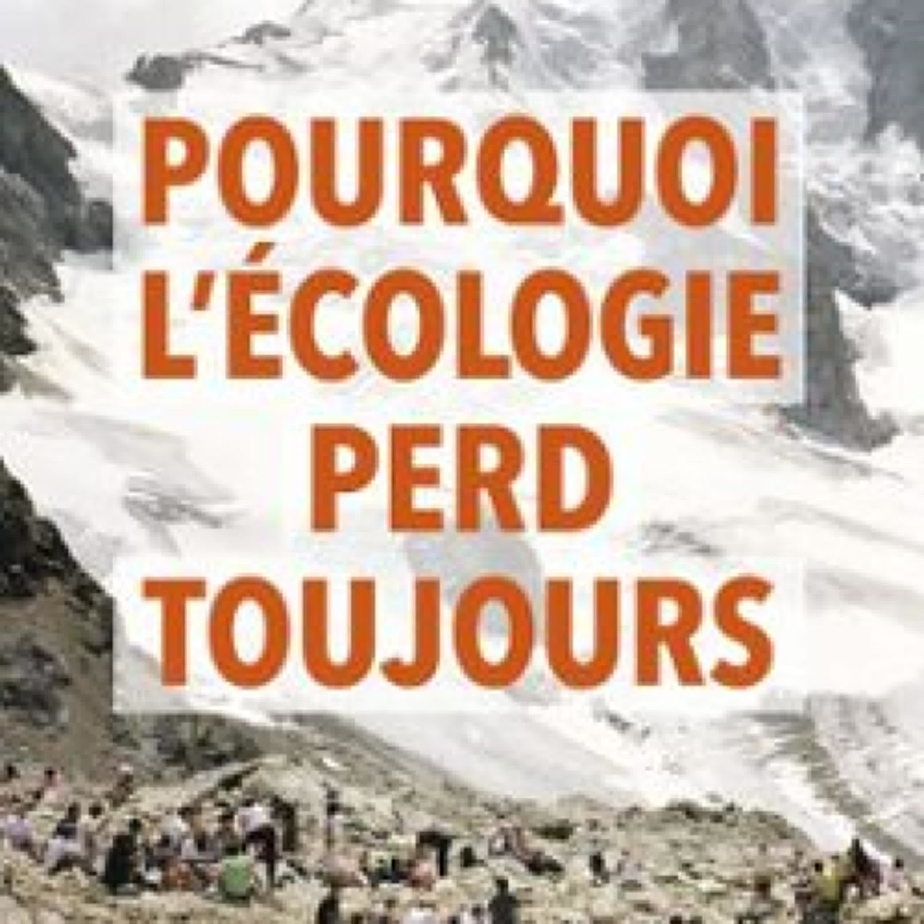 POURQUOI L'ÉCOLOGIE PERD TOUJOURS  (edición en francés) leer el libro pdf