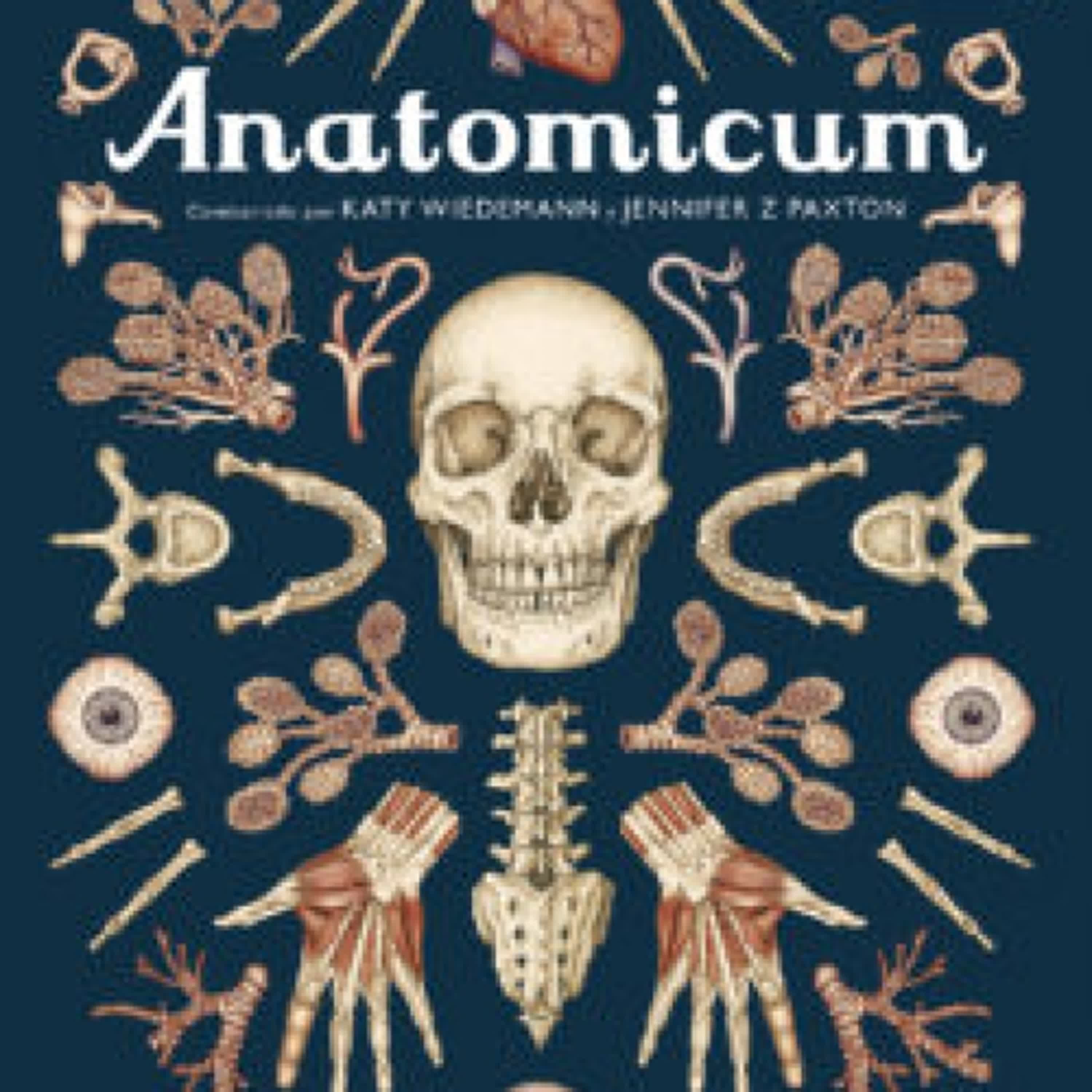 [PDF/Kindle] ANATOMICUM descargar gratis