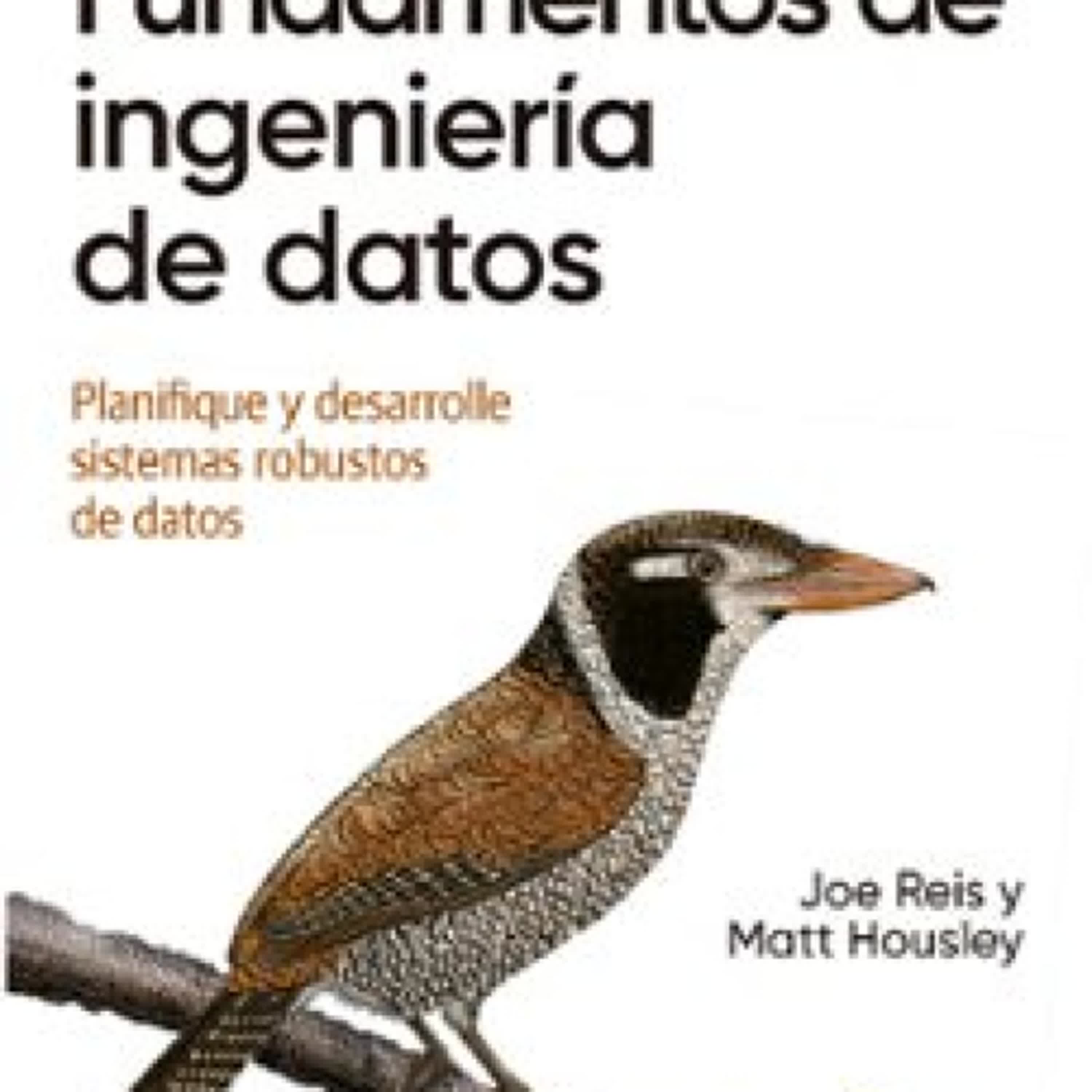 [Kindle] FUNDAMENTOS DE INGENIERÍA DE DATOS descargar gratis