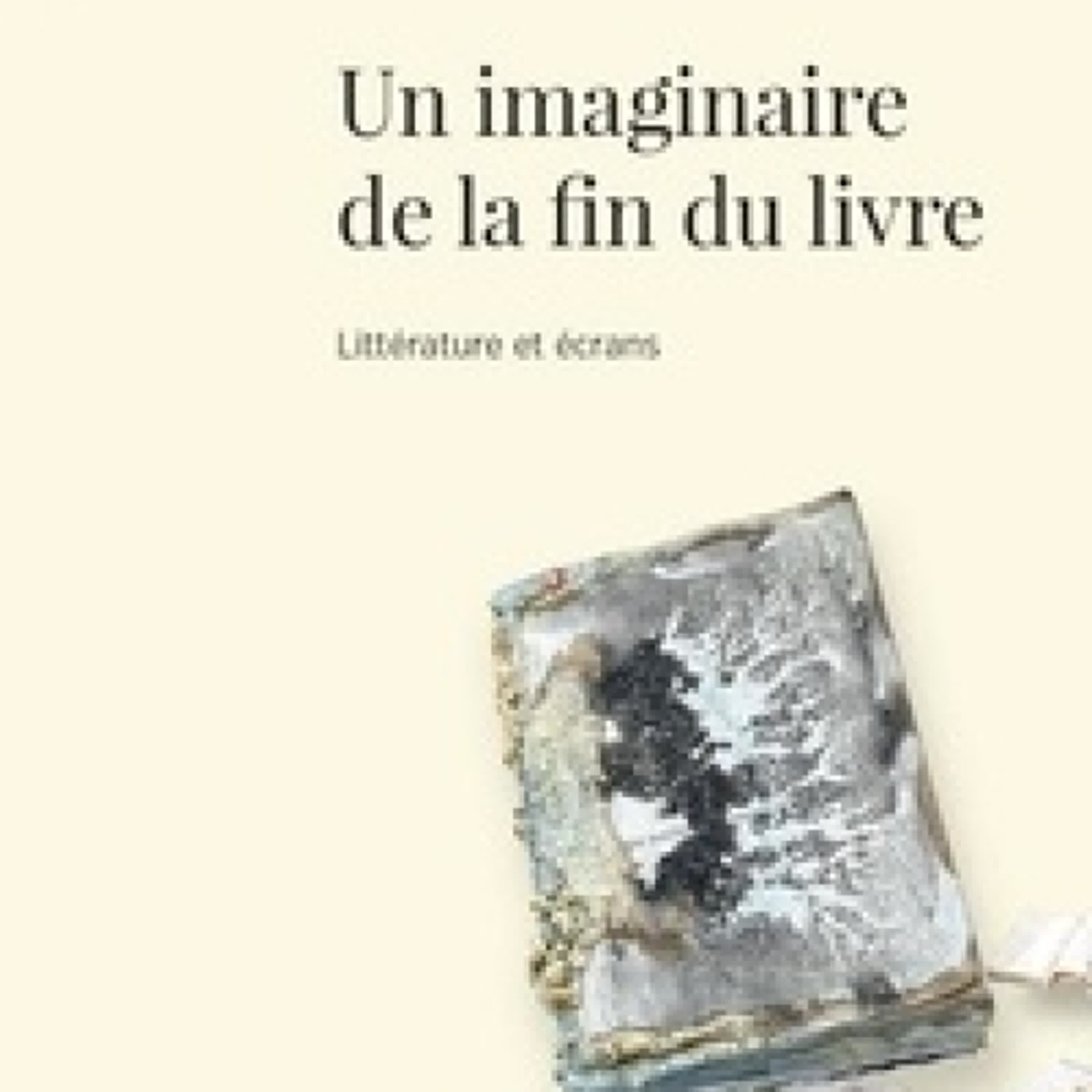 {téléchargement pdf} Un imaginaire de la fin du livre - Littérature et écran