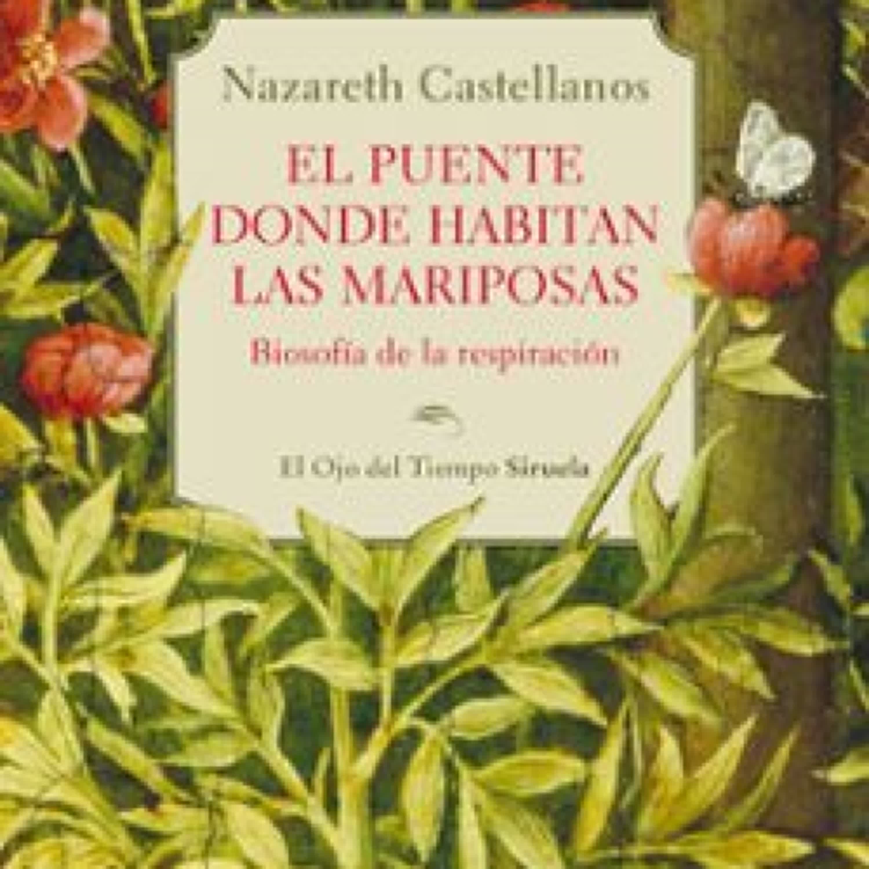 Descargar ebook EL PUENTE DONDE HABITAN LAS MARIPOSAS | Descarga Libros Gratis (PDF - EPUB)