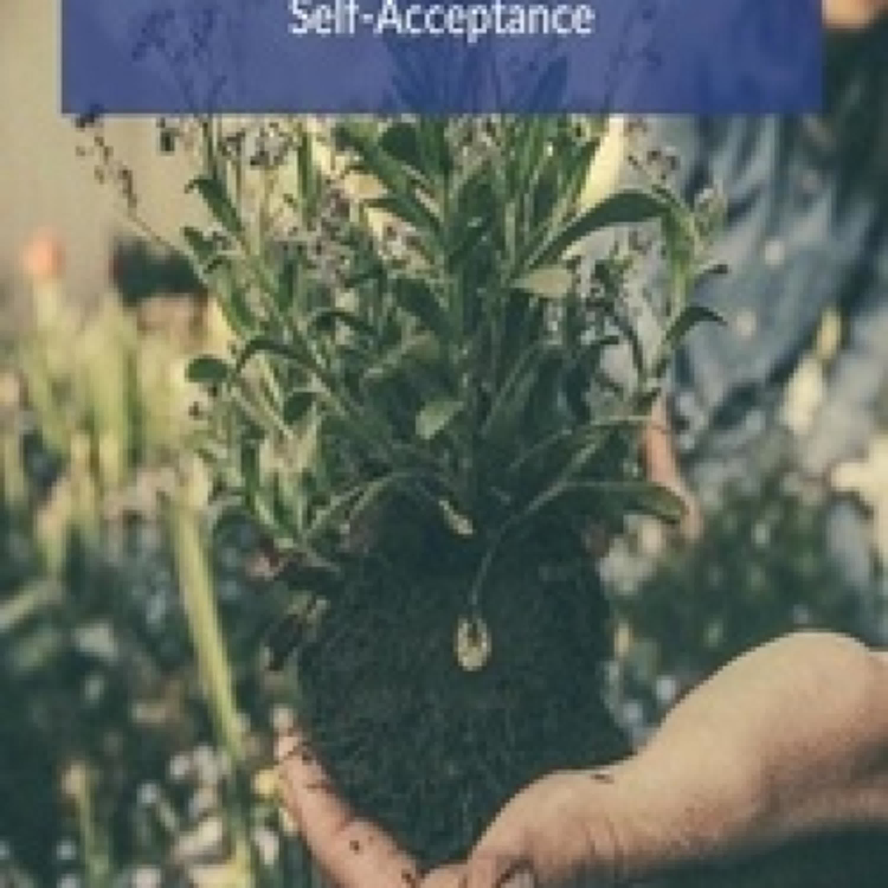 [télécharger pdf] Embracing the Outcast: A Journey to Self-Acceptance