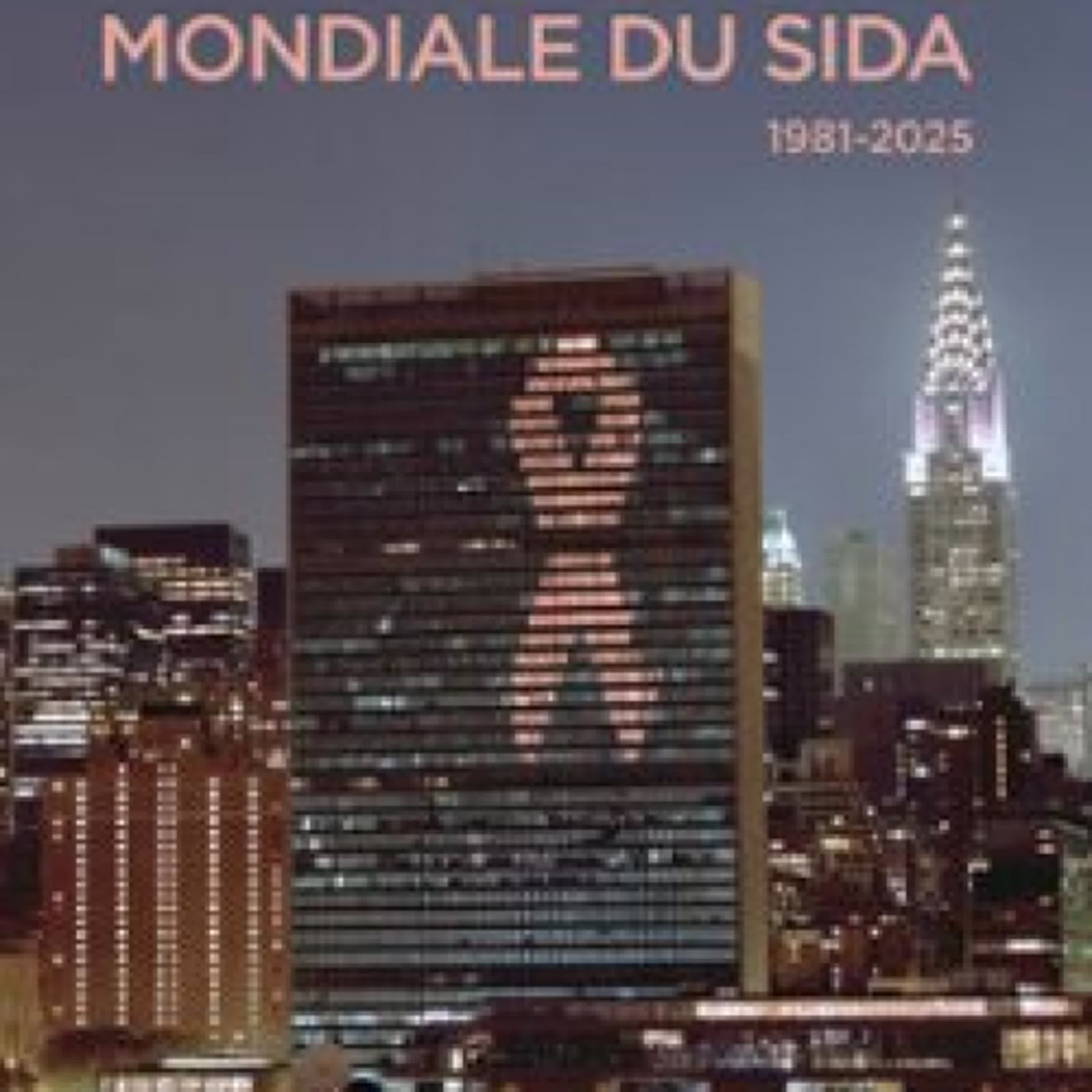 UNE HISTOIRE MONDIALE DU SIDA (1981 - 2025) ePub gratis