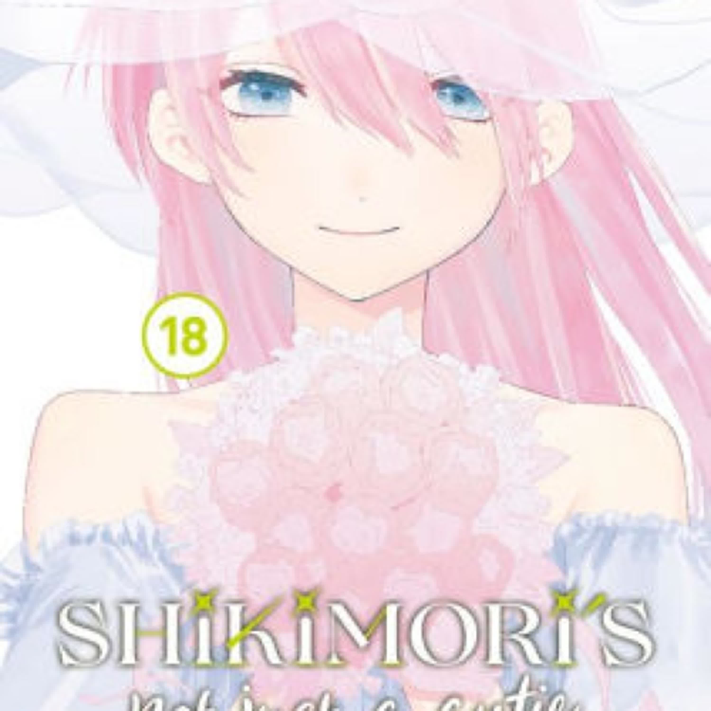 Shikimori's Not Just a Cutie 18 by Keigo Maki on Audiobook New