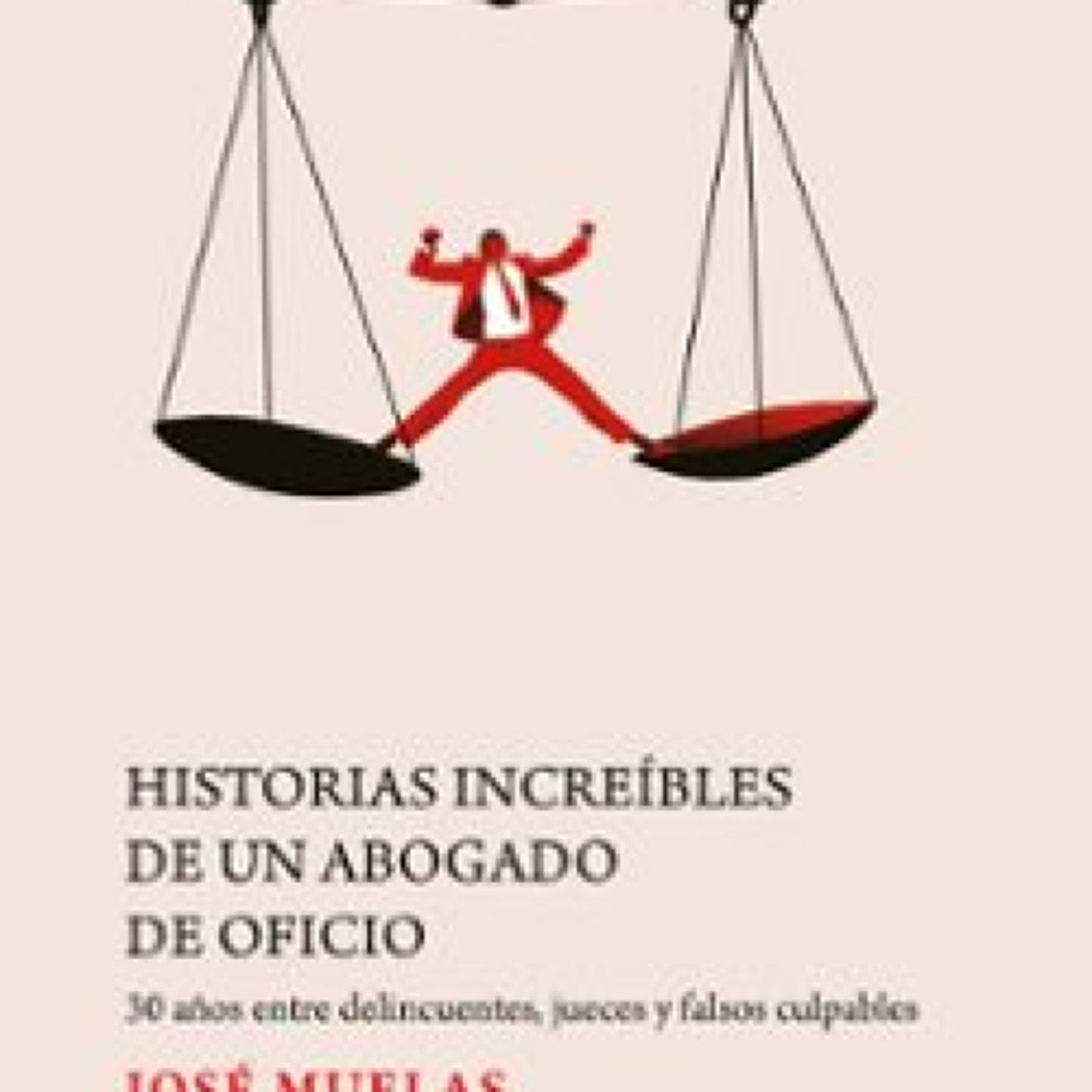 HISTORIAS INCREÍBLES DE UN ABOGADO DE OFICIO				EBOOK leer epub gratis